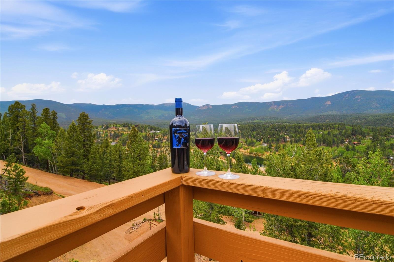 MLS Image #30 for 168  wise road,bailey, Colorado
