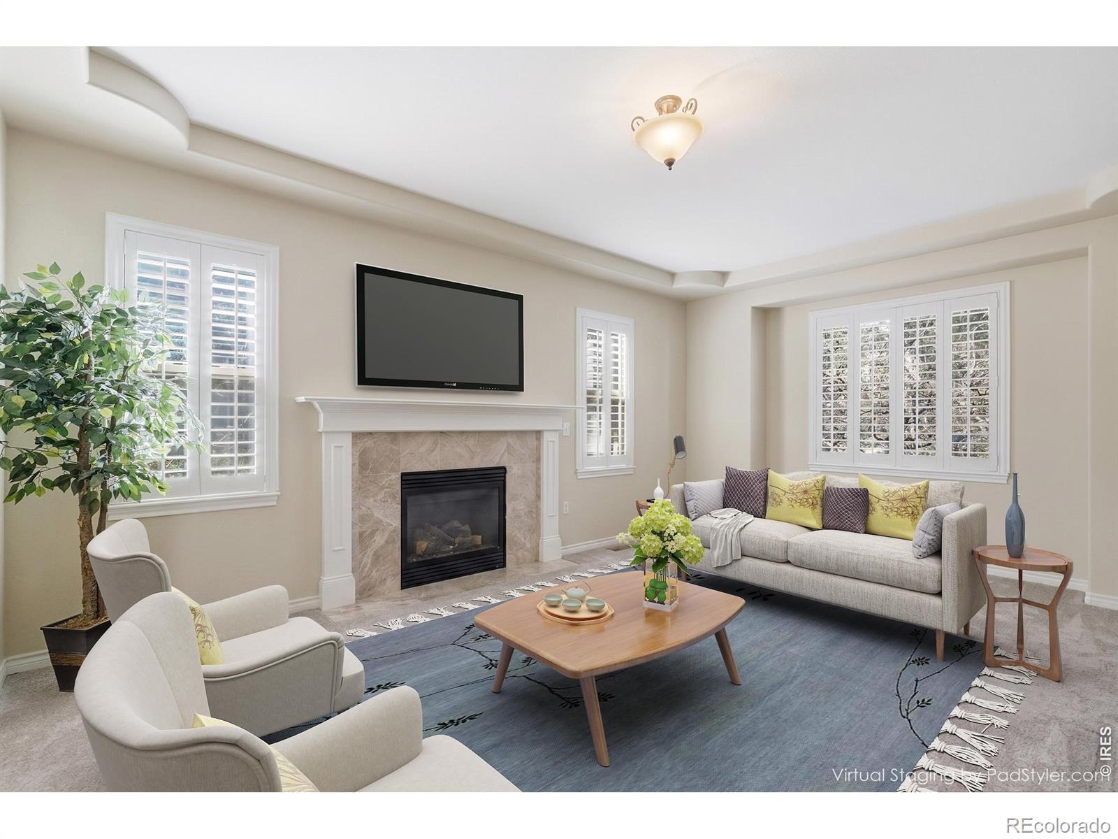 MLS Image #10 for 5822  irish pat murphy drive,parker, Colorado