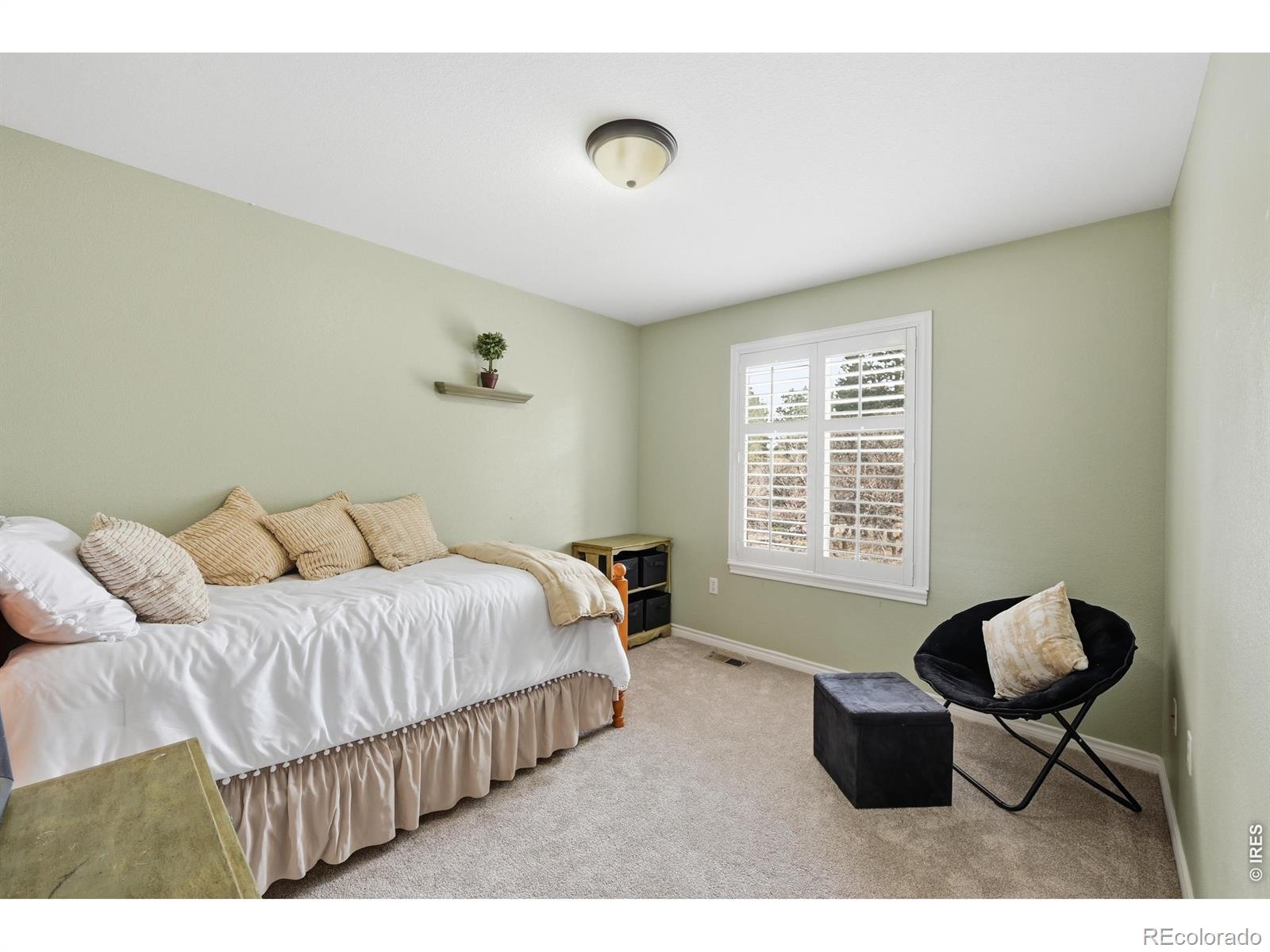 MLS Image #19 for 5822  irish pat murphy drive,parker, Colorado
