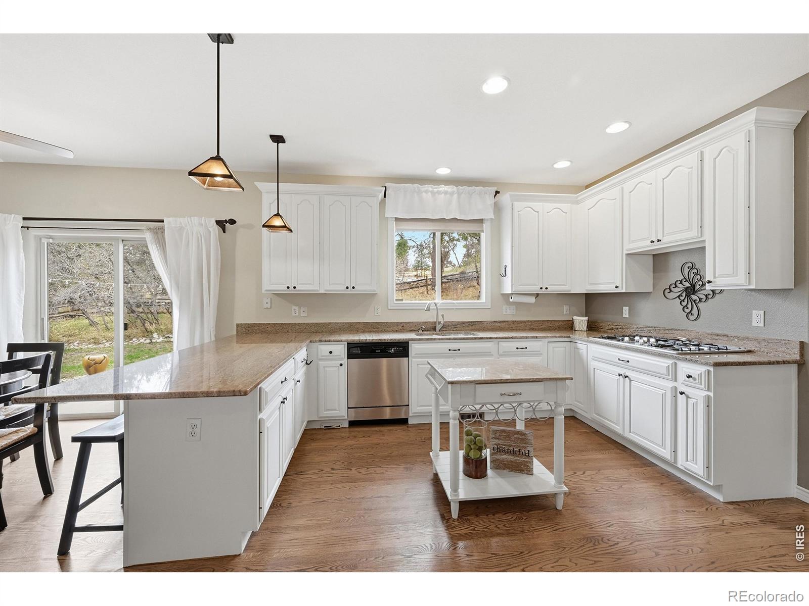 MLS Image #6 for 5822  irish pat murphy drive,parker, Colorado