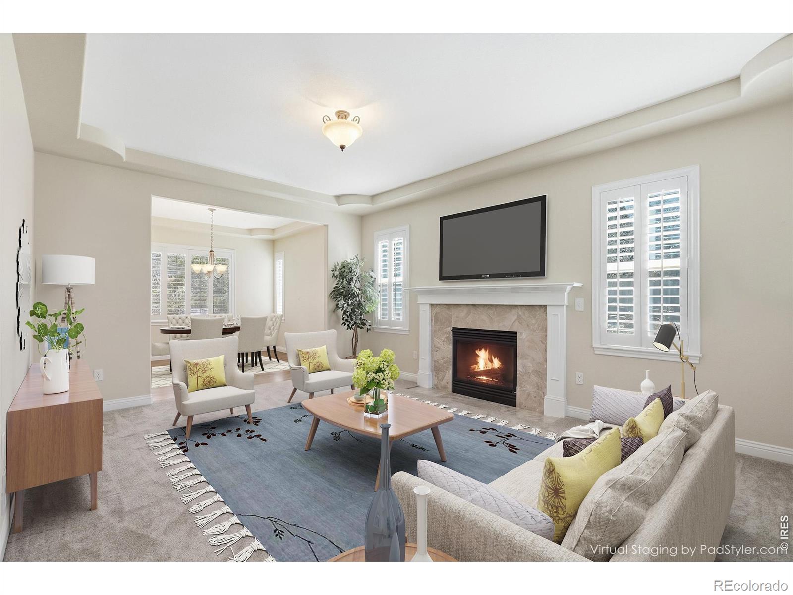 MLS Image #9 for 5822  irish pat murphy drive,parker, Colorado