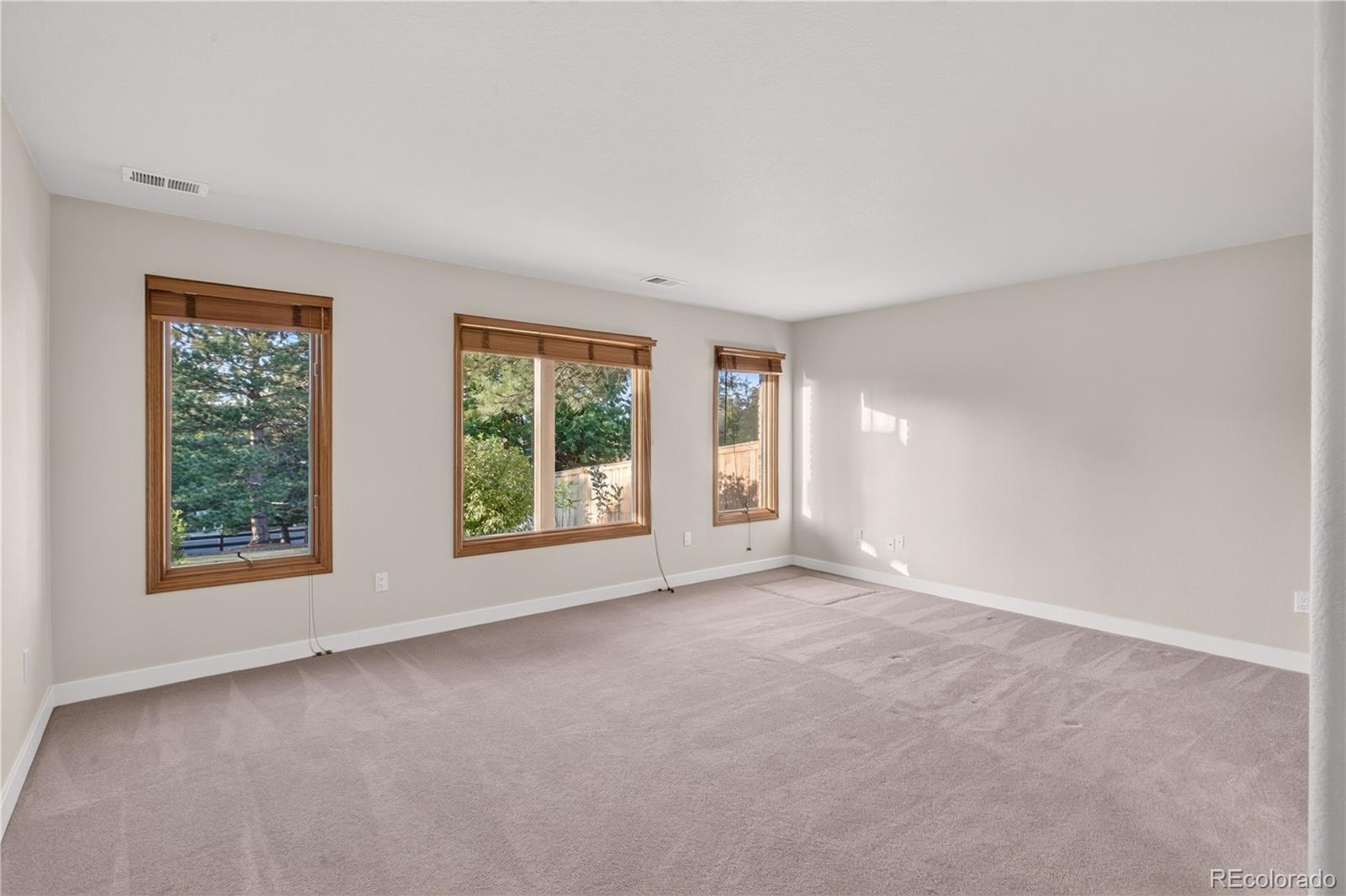 MLS Image #39 for 1247  jesse court,highlands ranch, Colorado