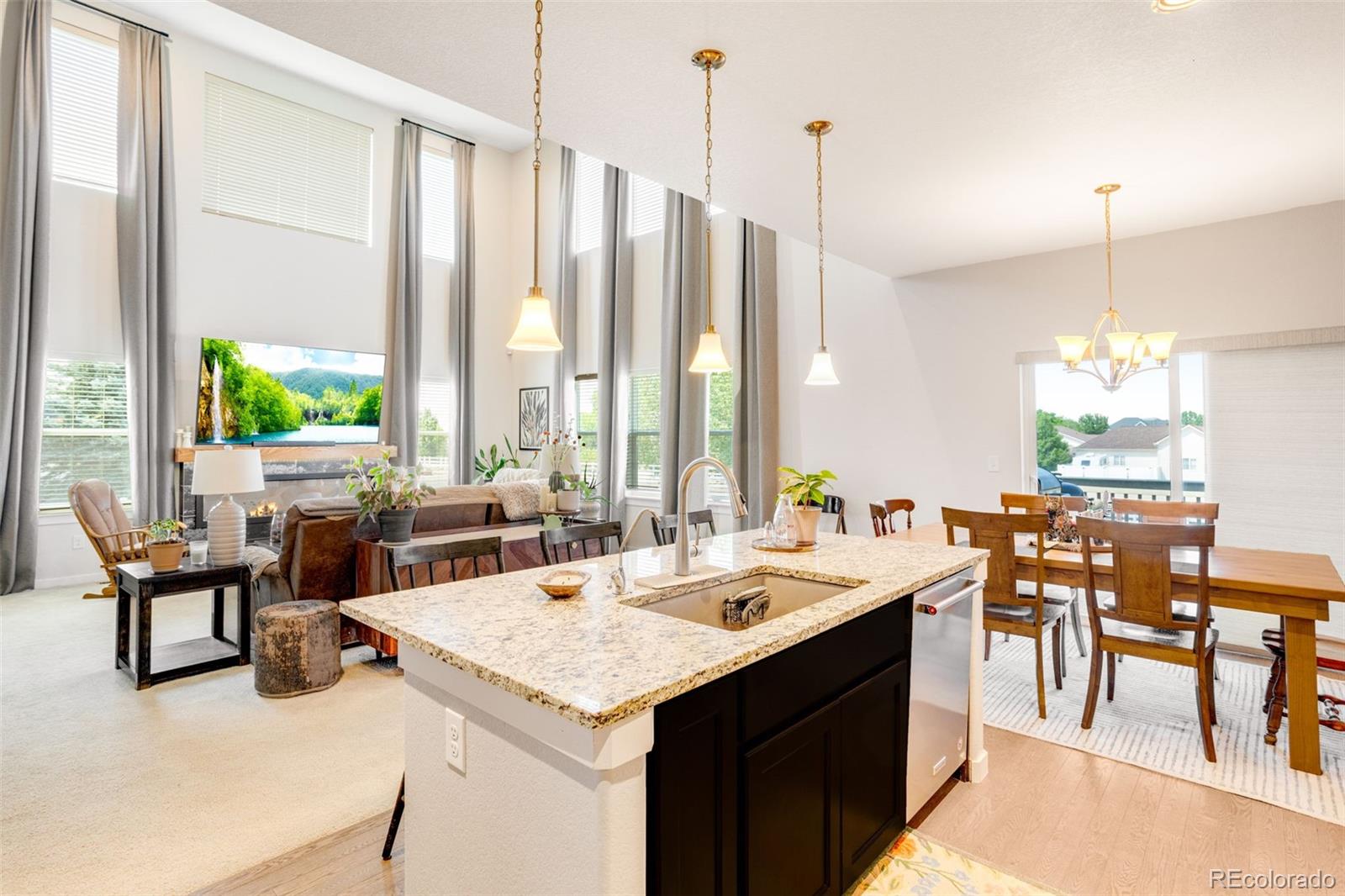 MLS Image #12 for 16521  tree haven street,hudson, Colorado