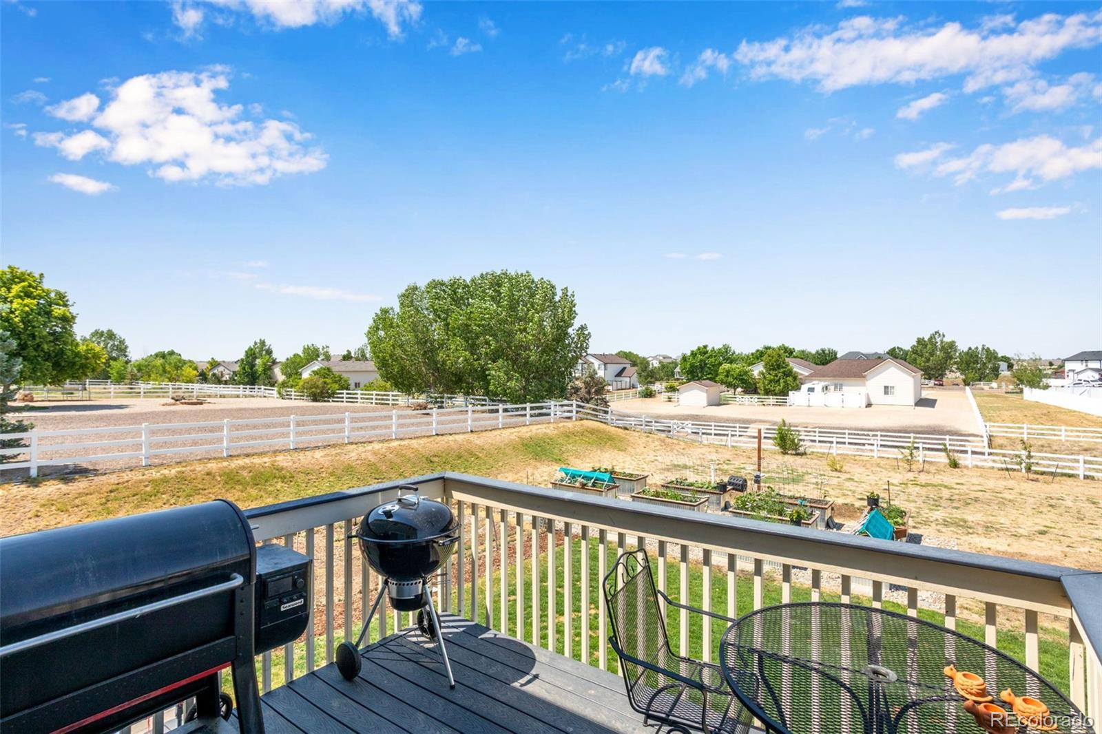 MLS Image #15 for 16521  tree haven street,hudson, Colorado