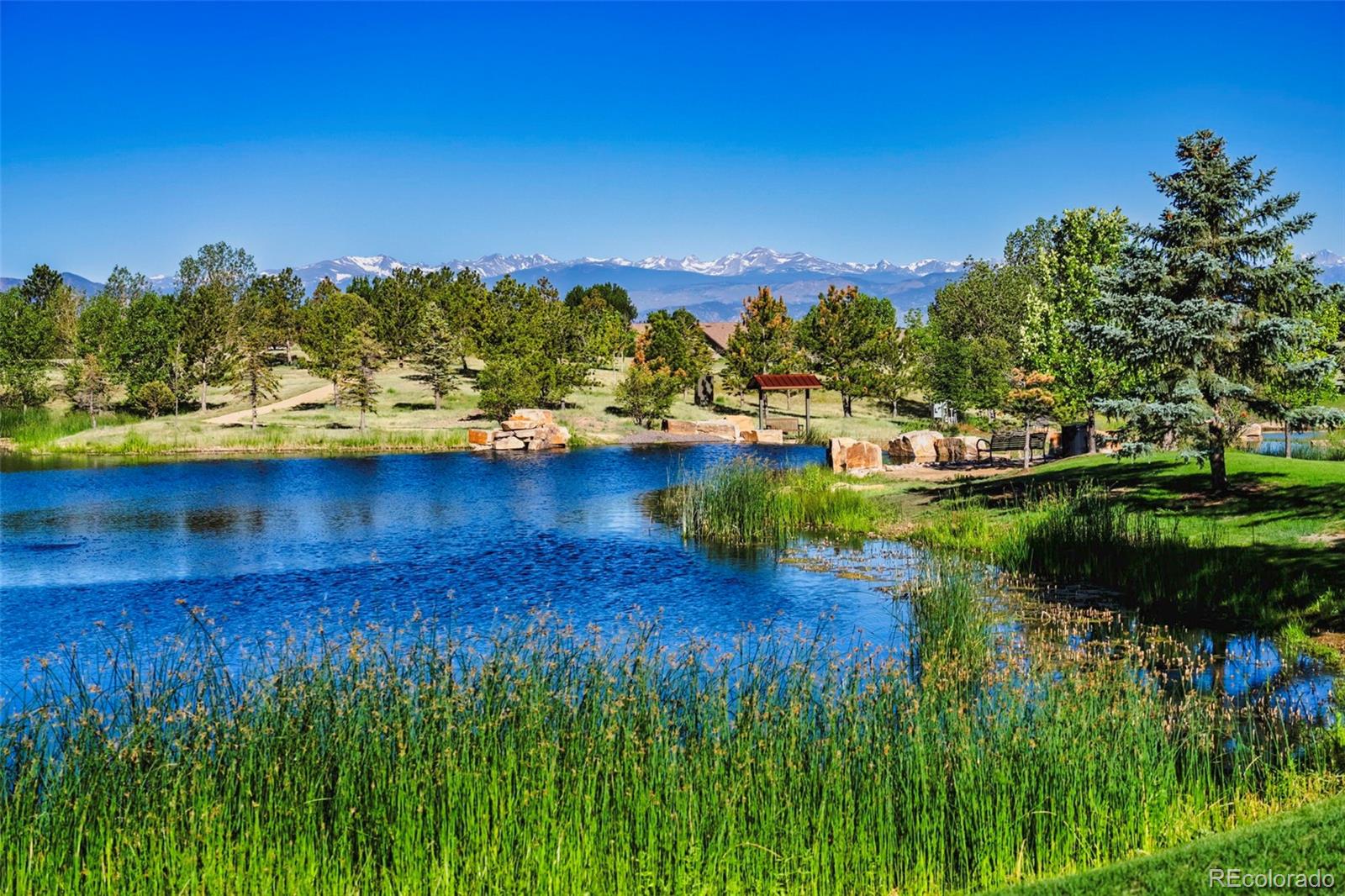 MLS Image #44 for 16005  quandary loop,broomfield, Colorado