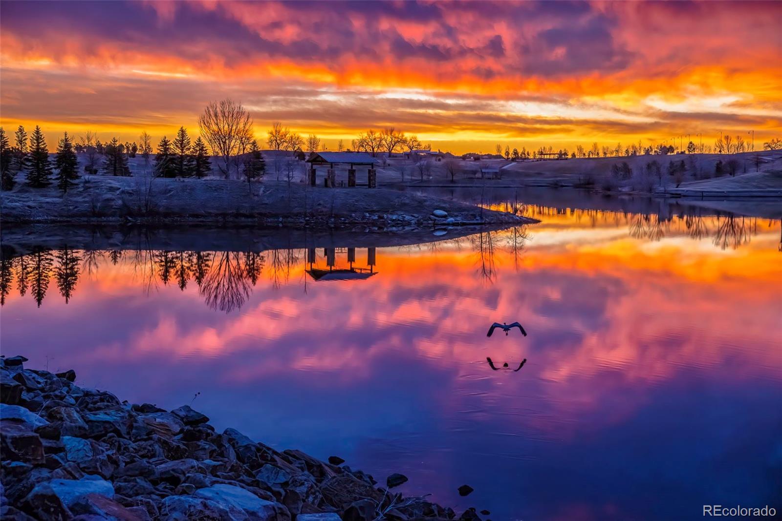 MLS Image #47 for 16005  quandary loop,broomfield, Colorado