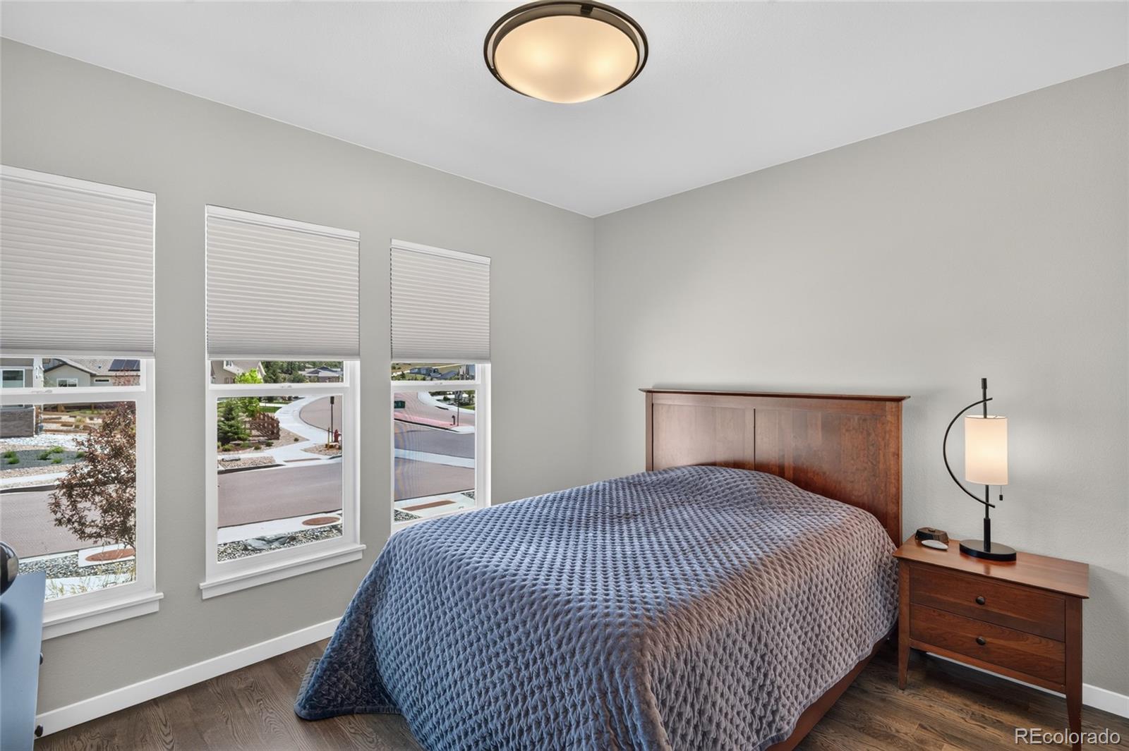 MLS Image #16 for 5486  mesa top drive,monument, Colorado