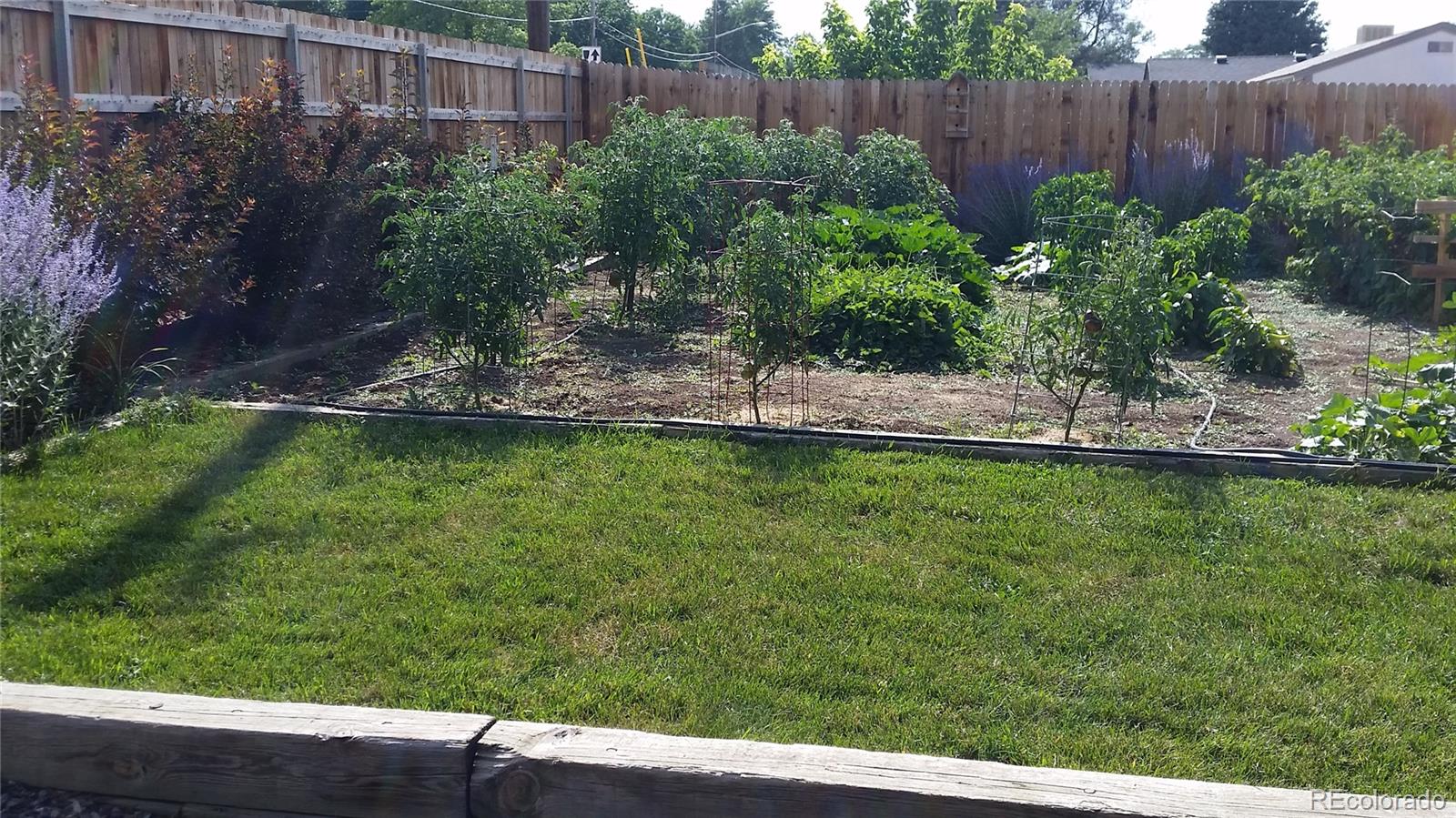 MLS Image #43 for 815  vivian street,lakewood, Colorado