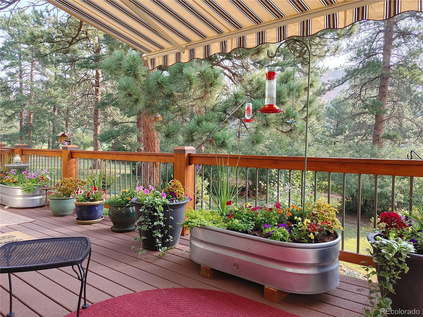 MLS Image #4 for 6640  perry park boulevard,larkspur, Colorado