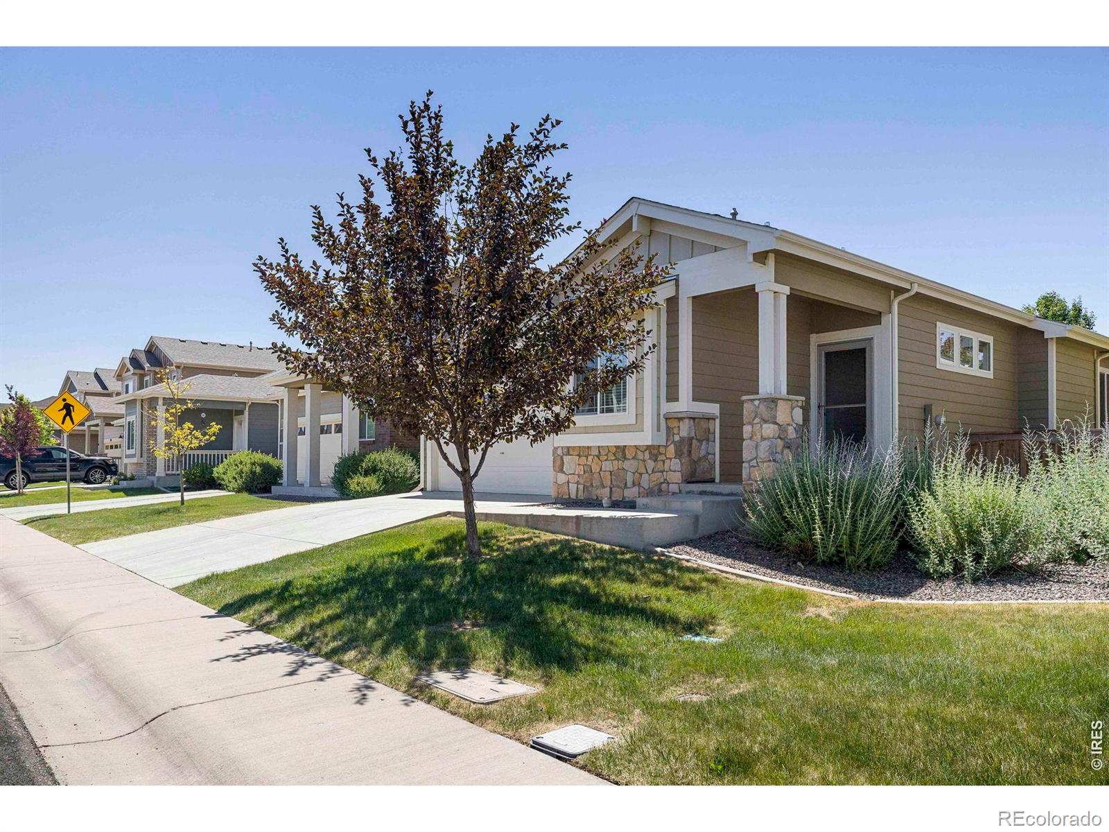 MLS Image #1 for 3166  carney street,loveland, Colorado