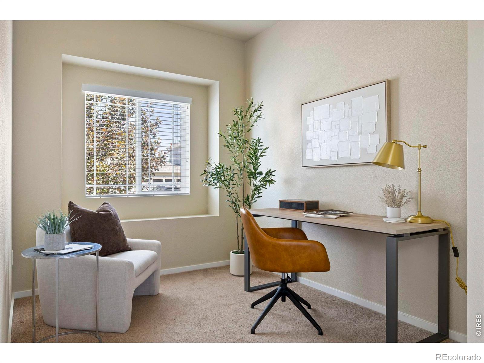 MLS Image #3 for 3166  carney street,loveland, Colorado