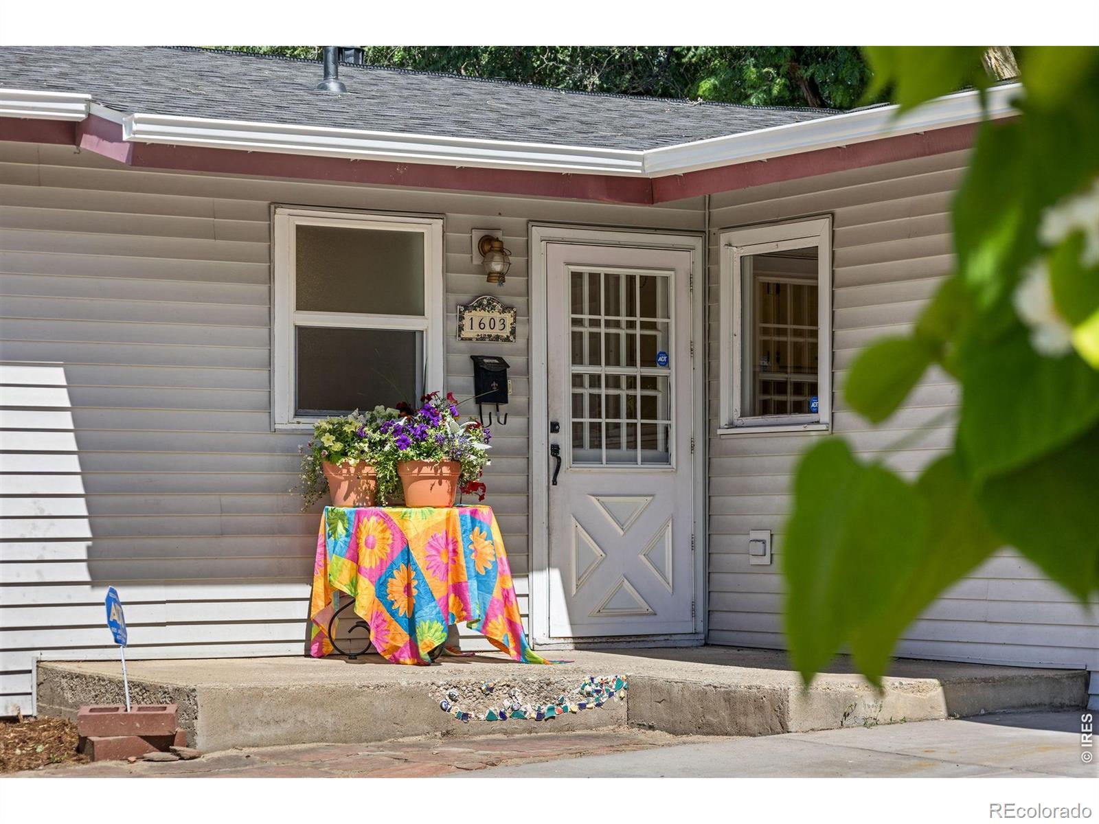 MLS Image #1 for 1603  emery street,longmont, Colorado