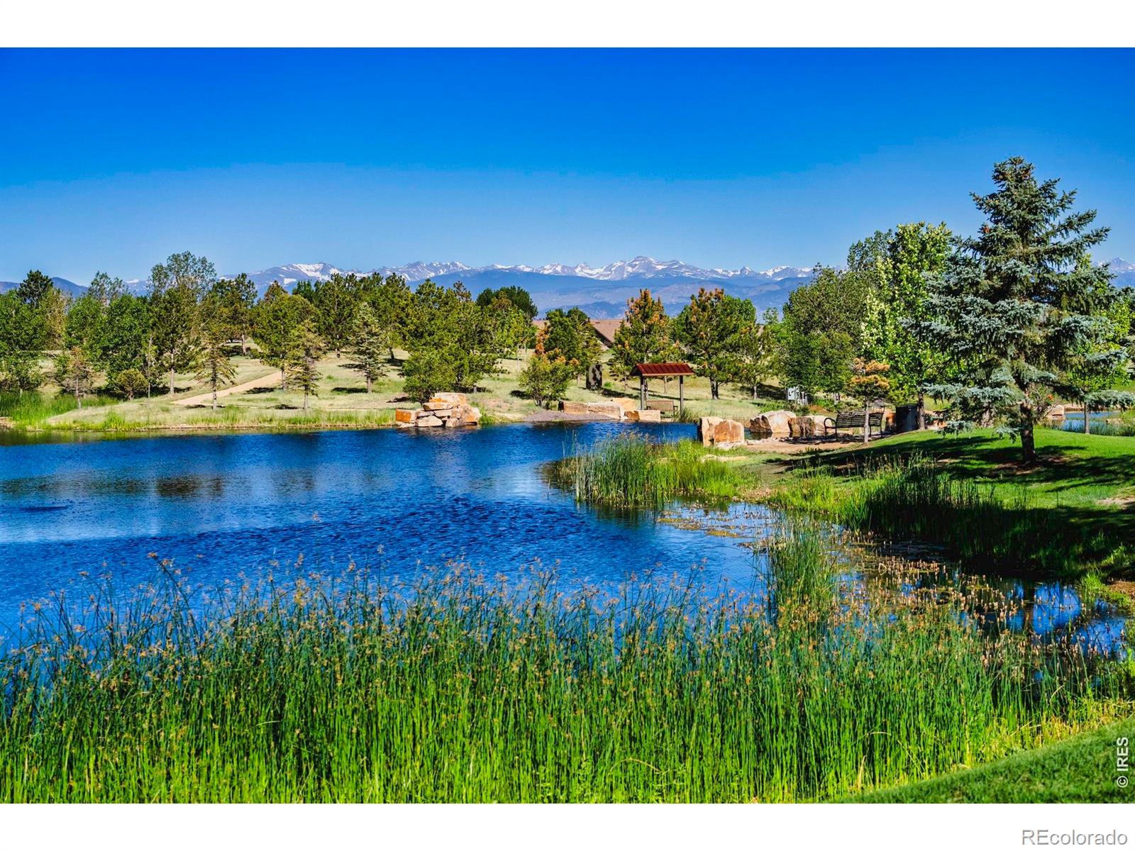 MLS Image #44 for 16005  quandary loop,broomfield, Colorado