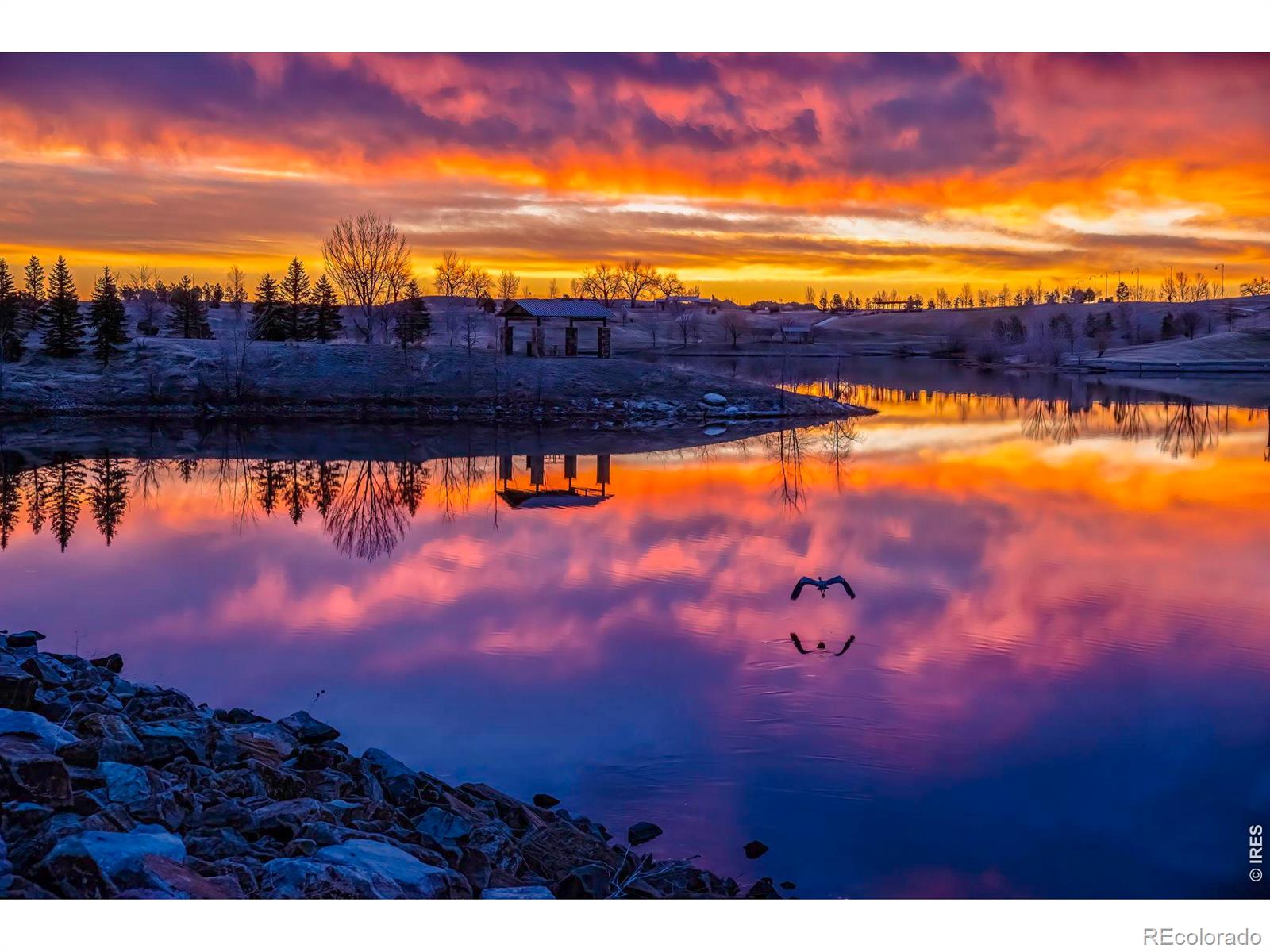 MLS Image #47 for 16005  quandary loop,broomfield, Colorado