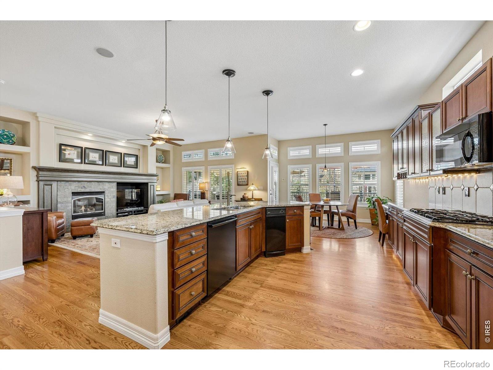 MLS Image #15 for 1505  stonehill court,castle rock, Colorado