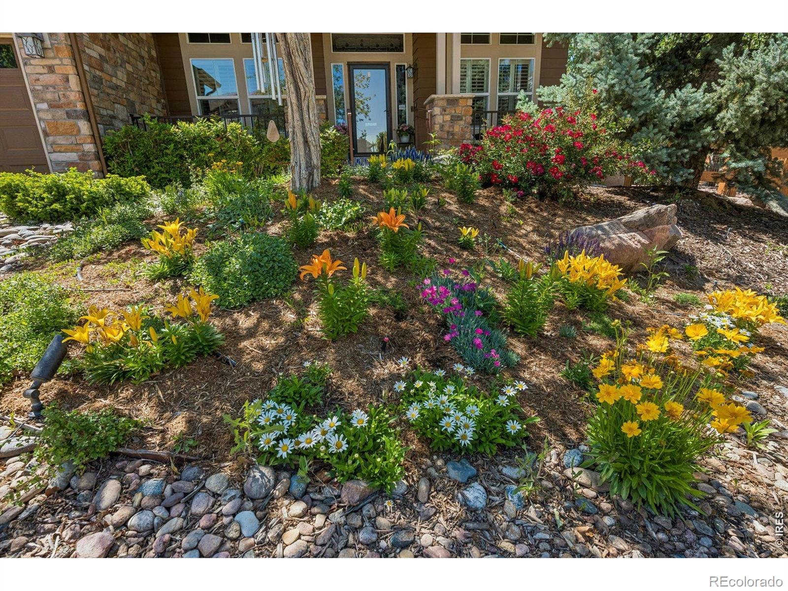 MLS Image #5 for 1505  stonehill court,castle rock, Colorado