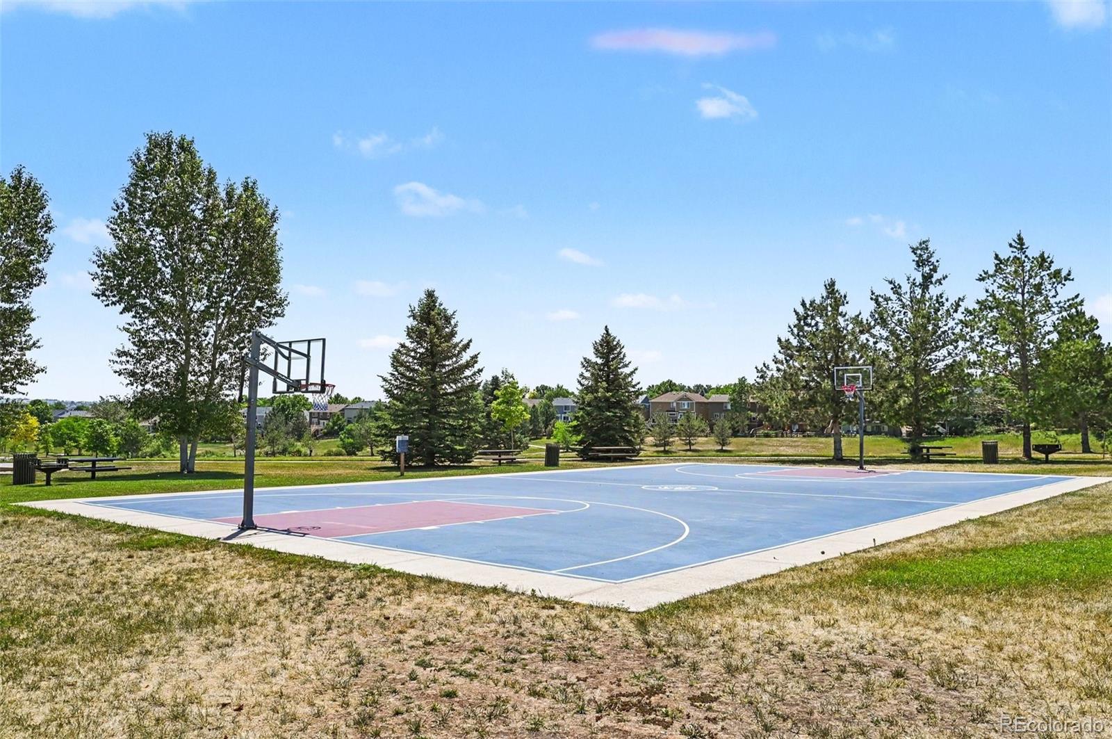 MLS Image #3 for 10172  granite hill drive,parker, Colorado