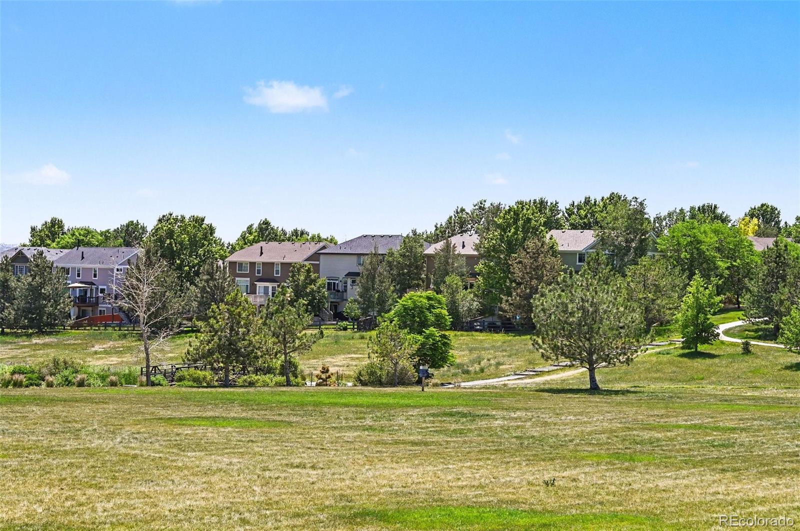 MLS Image #4 for 10172  granite hill drive,parker, Colorado
