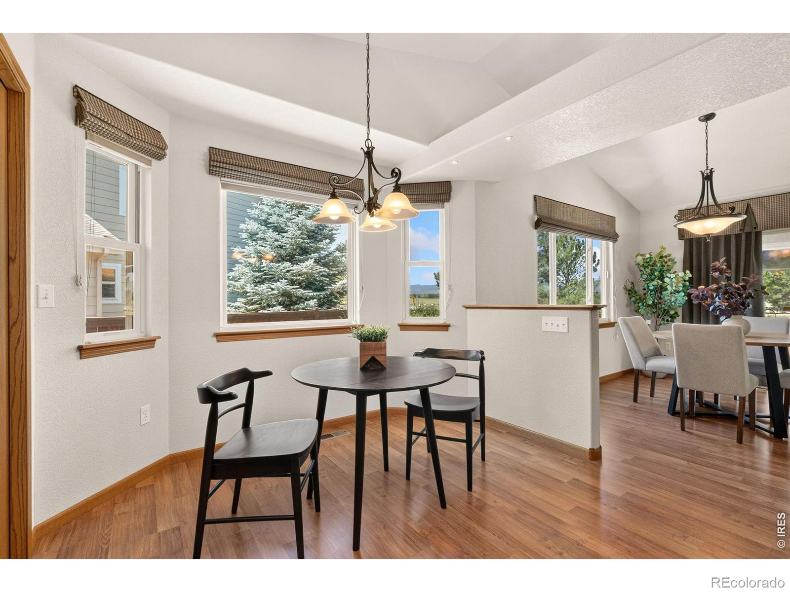 MLS Image #10 for 3731  osier place,loveland, Colorado