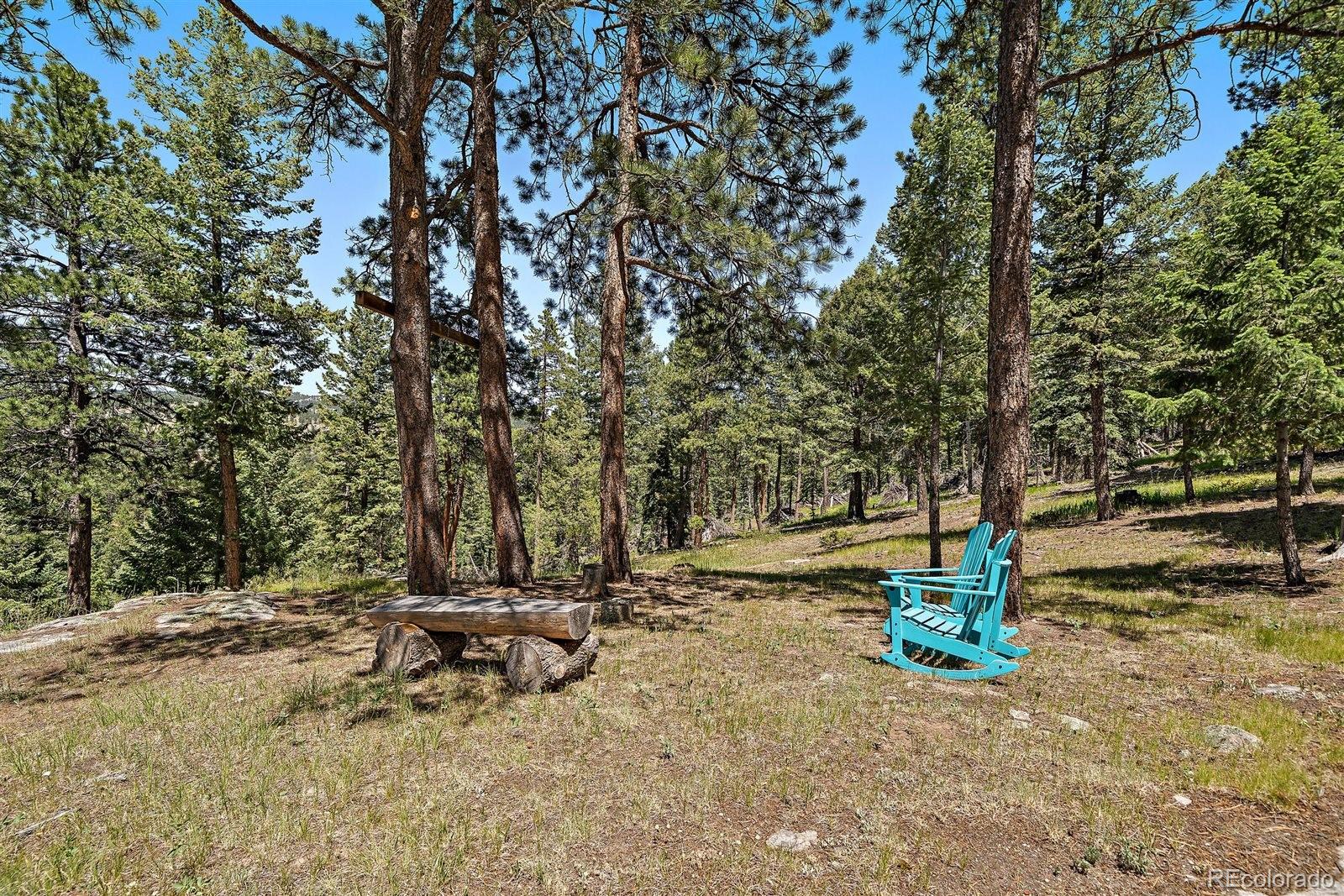 MLS Image #38 for 7350  monica lane,evergreen, Colorado