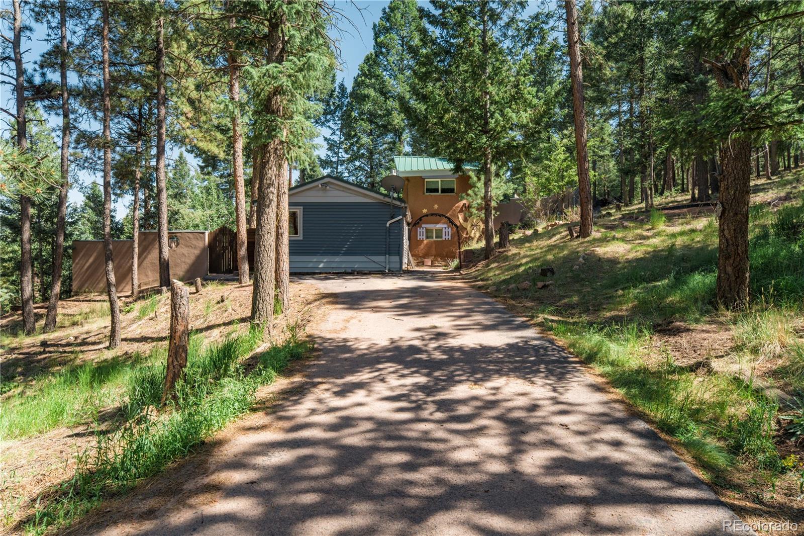 MLS Image #1 for 196  summer haven drive,woodland park, Colorado