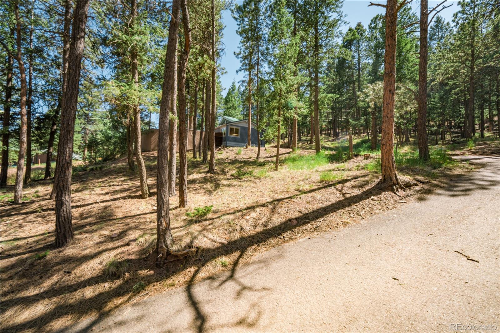 MLS Image #14 for 196  summer haven drive,woodland park, Colorado