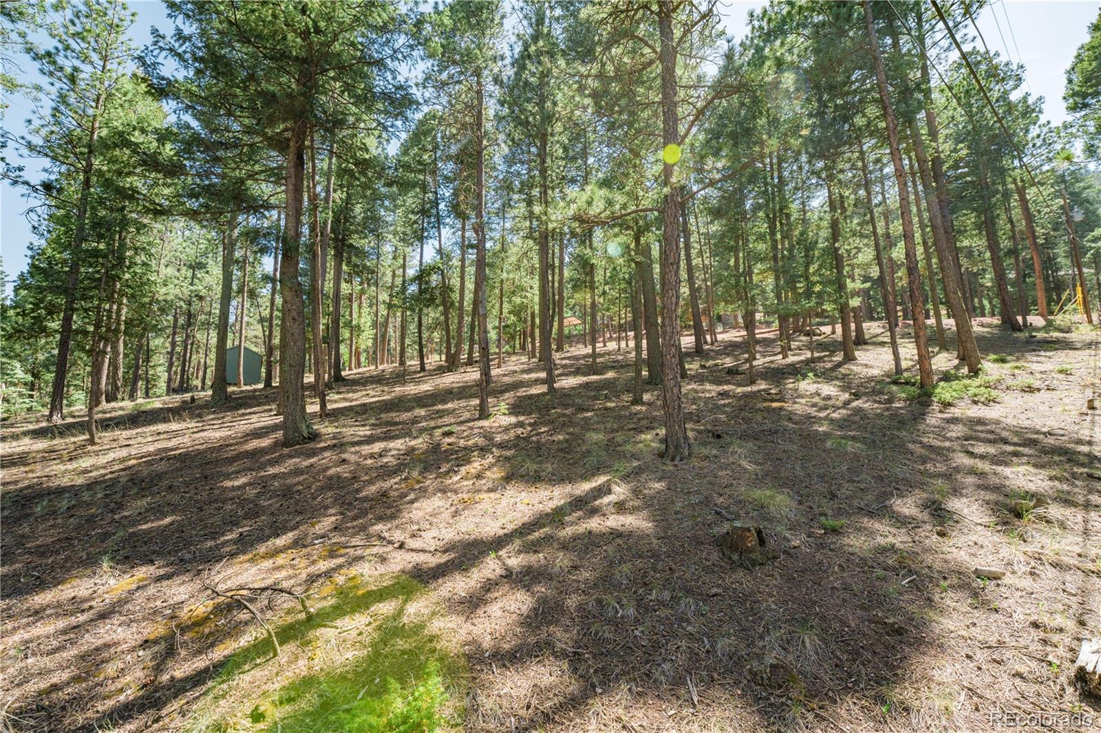 MLS Image #19 for 196  summer haven drive,woodland park, Colorado