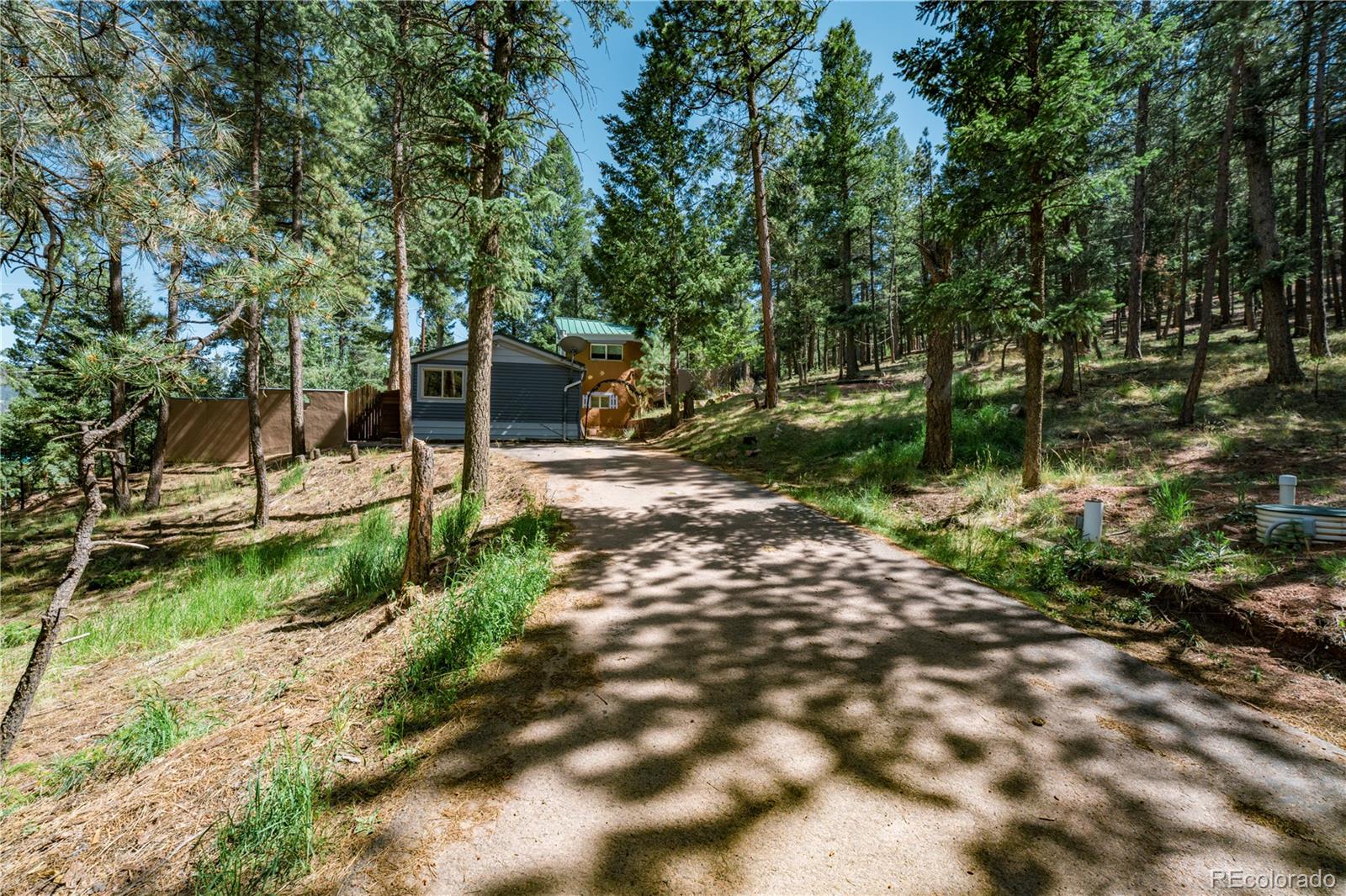 MLS Image #21 for 196  summer haven drive,woodland park, Colorado