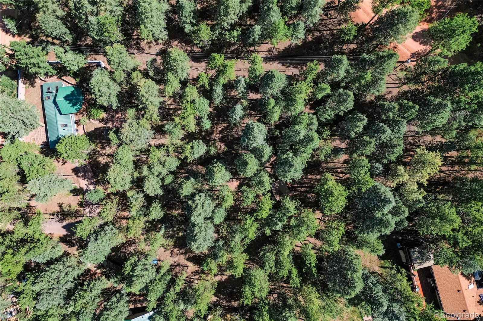 MLS Image #26 for 196  summer haven drive,woodland park, Colorado