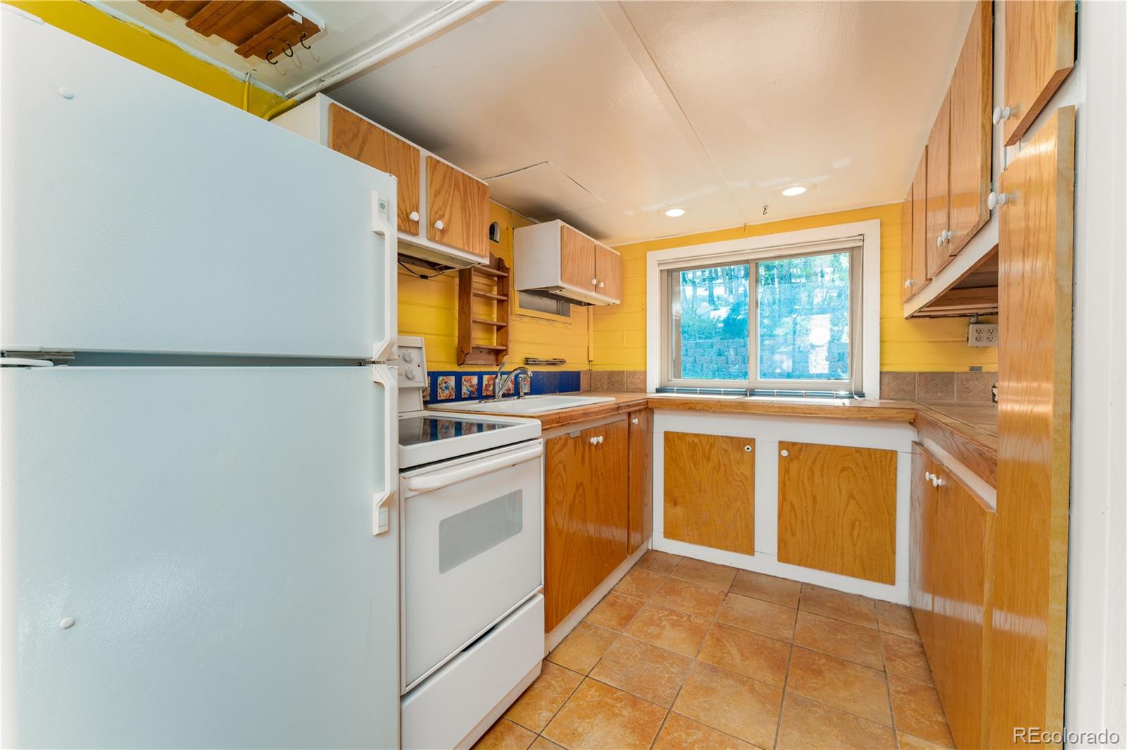 MLS Image #4 for 196  summer haven drive,woodland park, Colorado