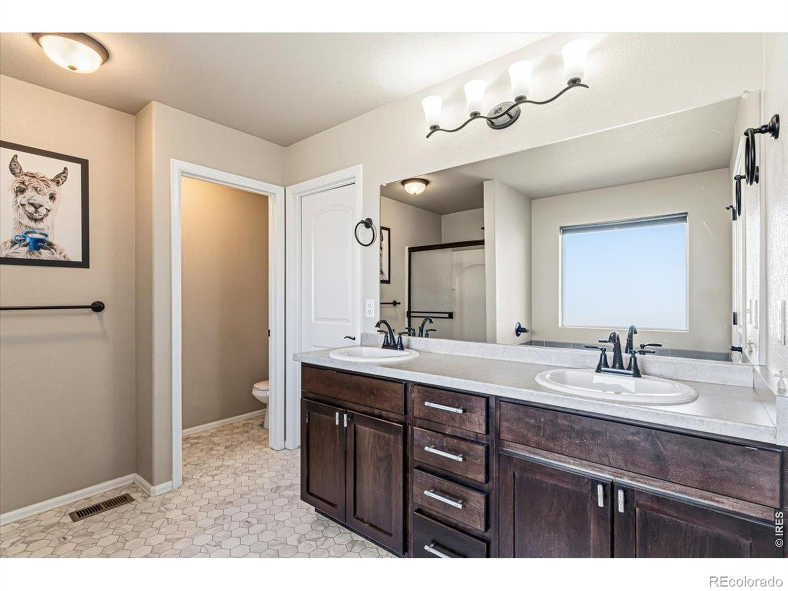MLS Image #10 for 1721  country sun drive,windsor, Colorado