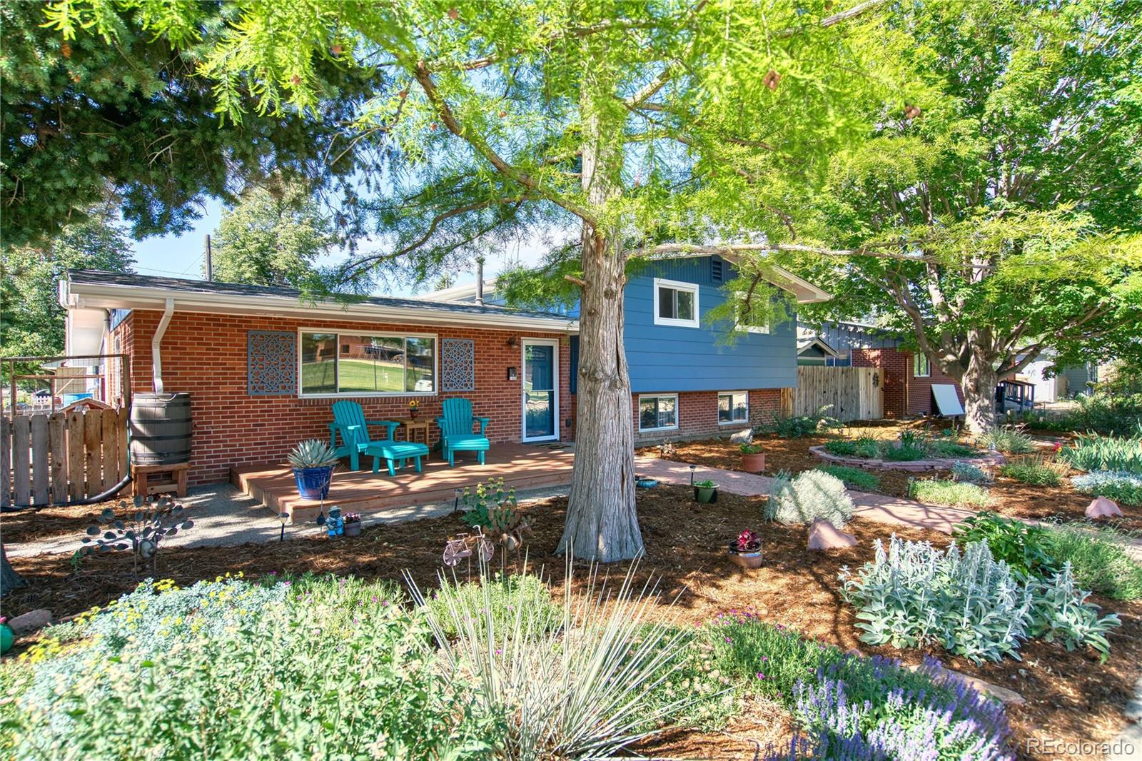MLS Image #1 for 1403  sanborn place,longmont, Colorado