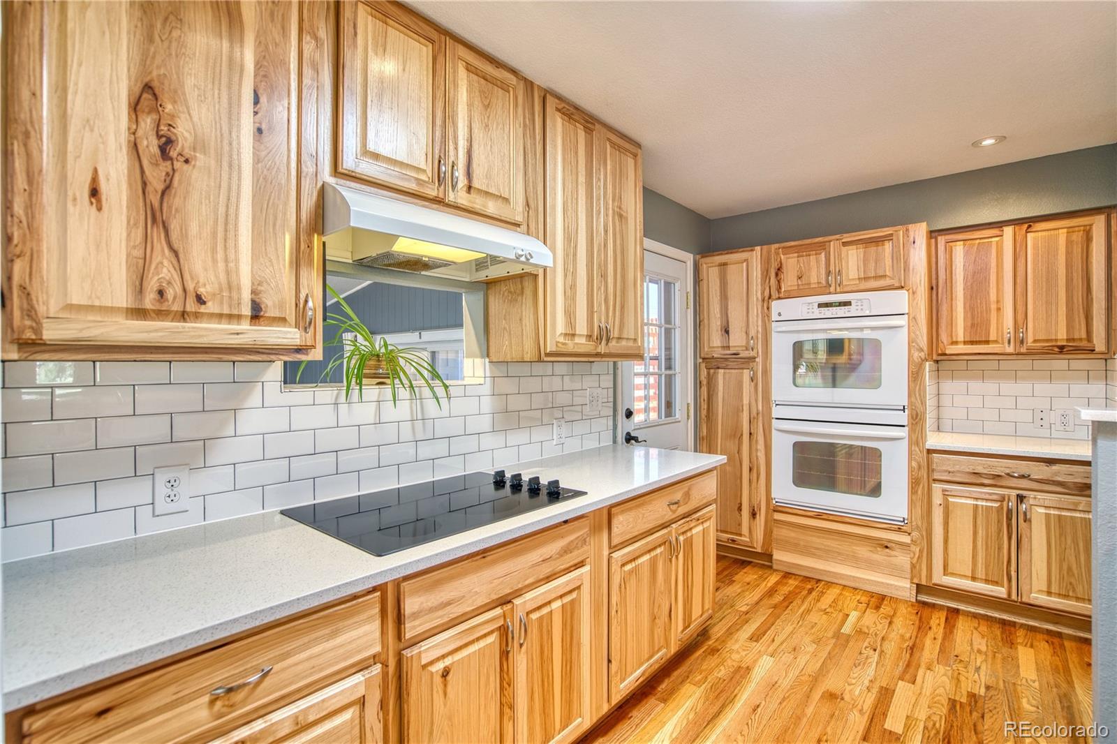 MLS Image #11 for 1403  sanborn place,longmont, Colorado