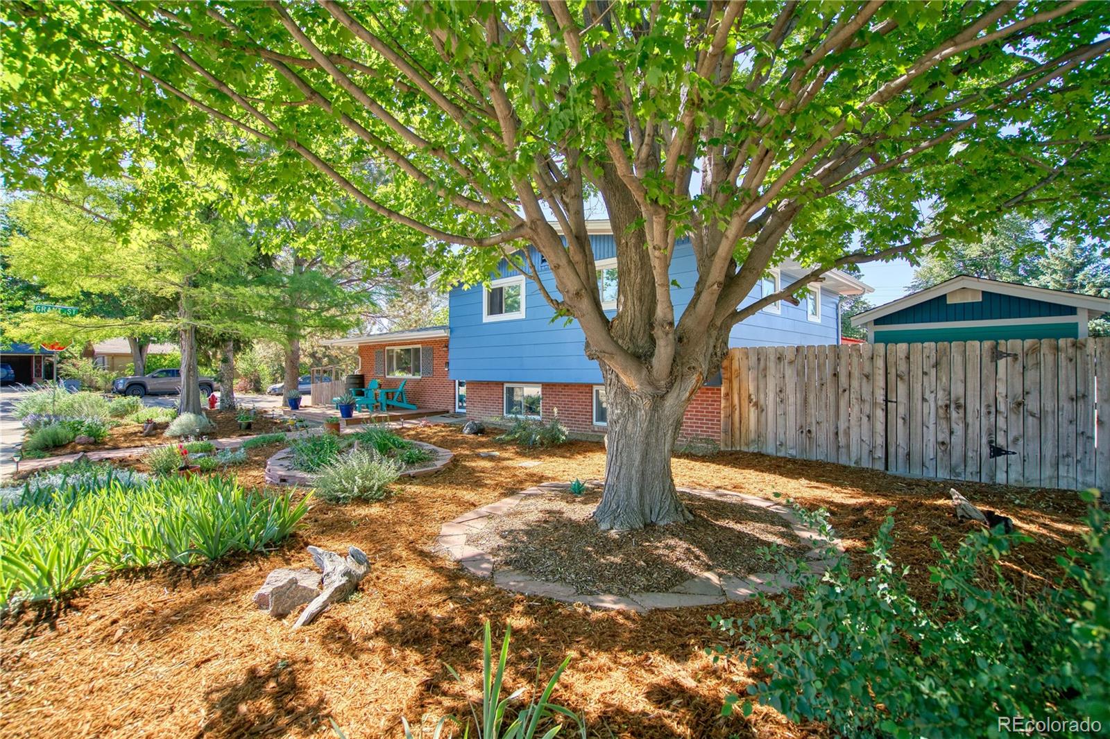MLS Image #2 for 1403  sanborn place,longmont, Colorado