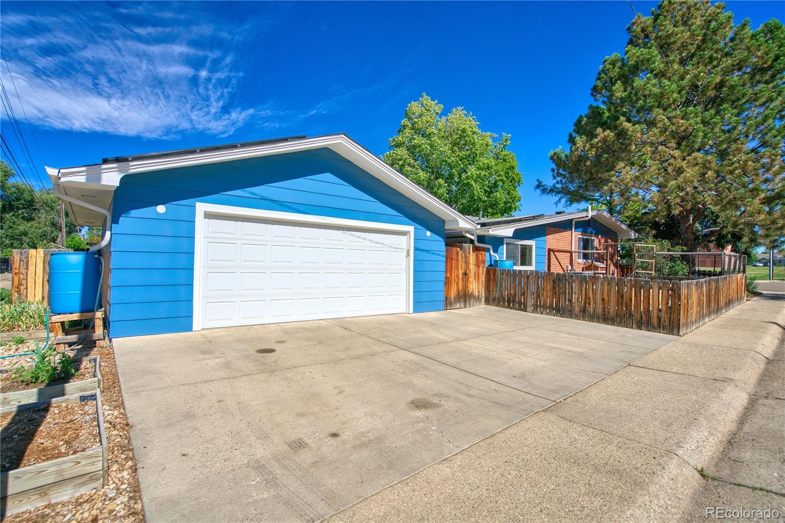 MLS Image #4 for 1403  sanborn place,longmont, Colorado