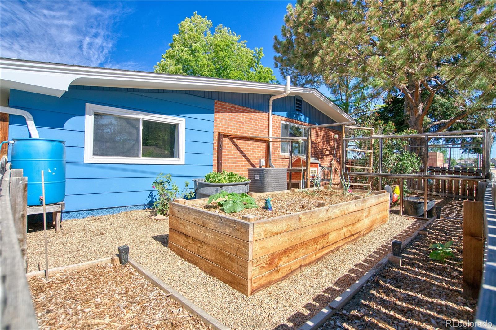 MLS Image #7 for 1403  sanborn place,longmont, Colorado
