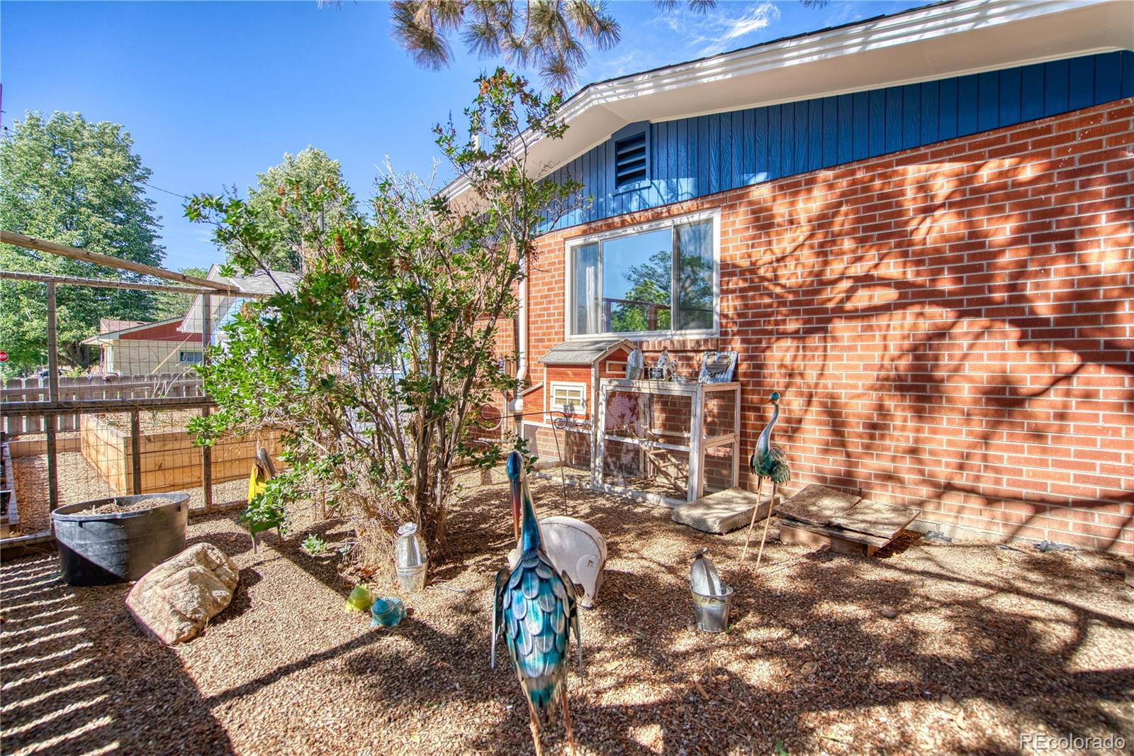 MLS Image #8 for 1403  sanborn place,longmont, Colorado