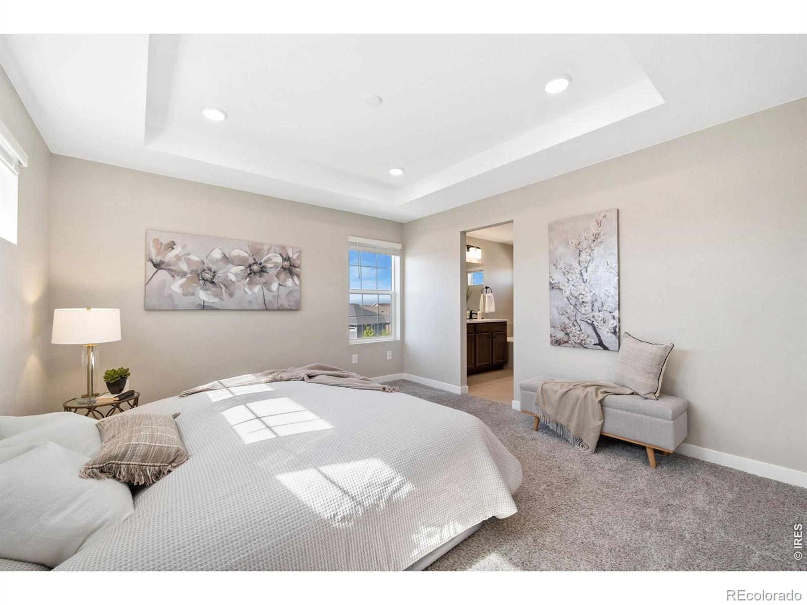 MLS Image #11 for 12803  bay street,firestone, Colorado