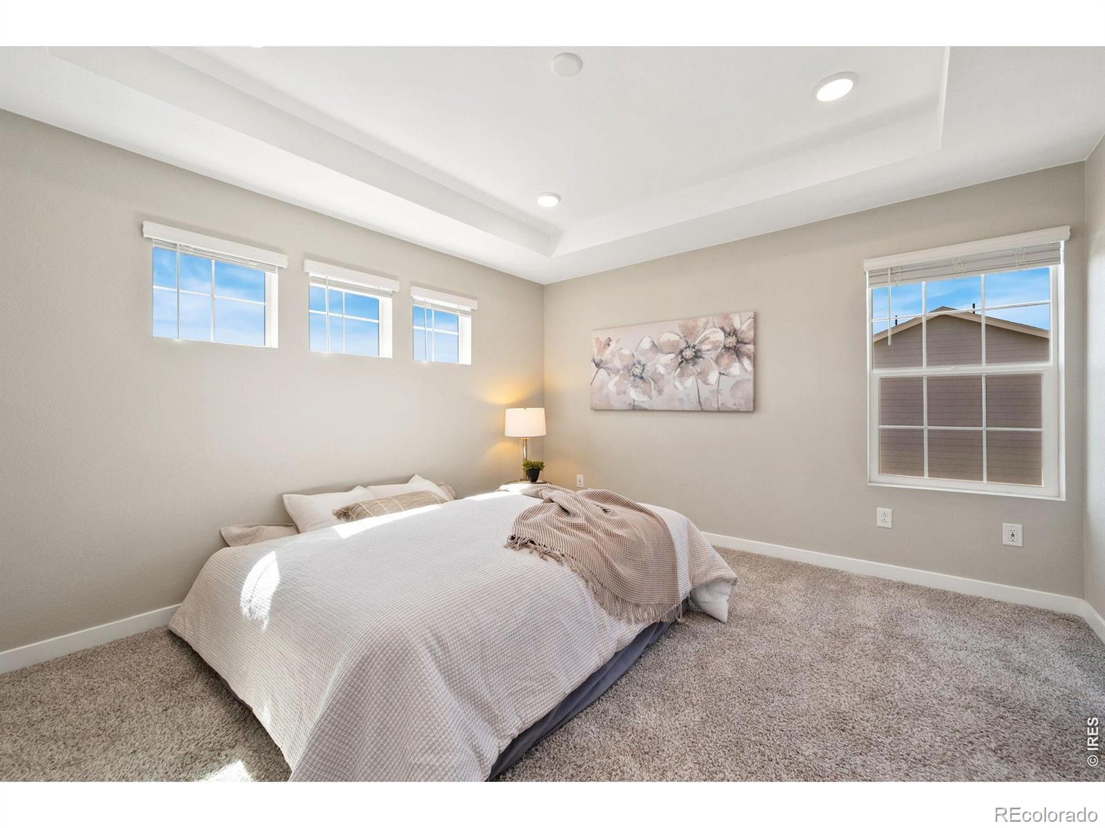 MLS Image #12 for 12803  bay street,firestone, Colorado