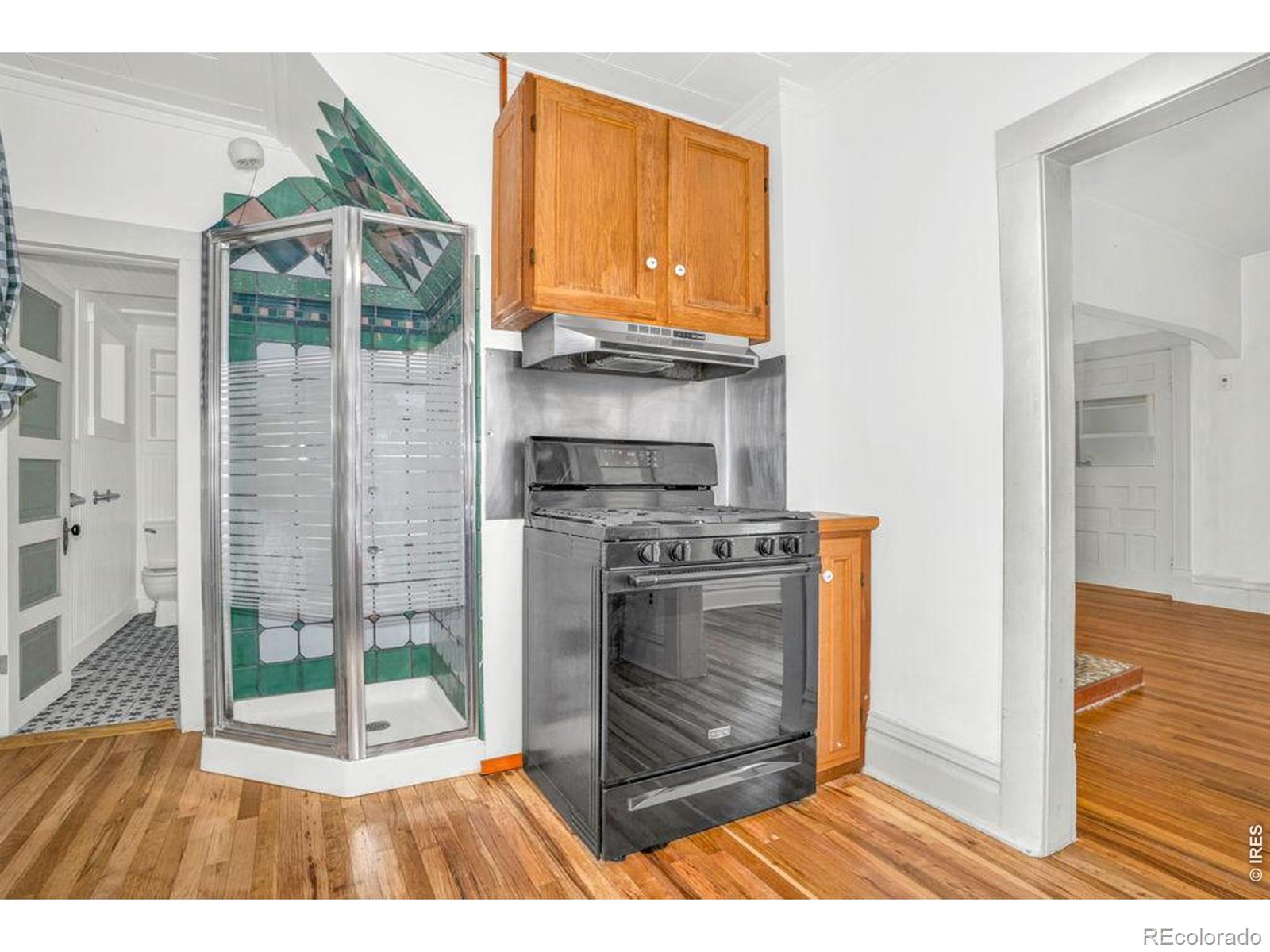 MLS Image #13 for 803  bross street,longmont, Colorado