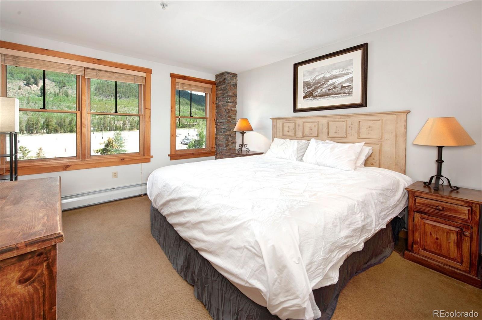 MLS Image #14 for 100  dercum square,keystone, Colorado