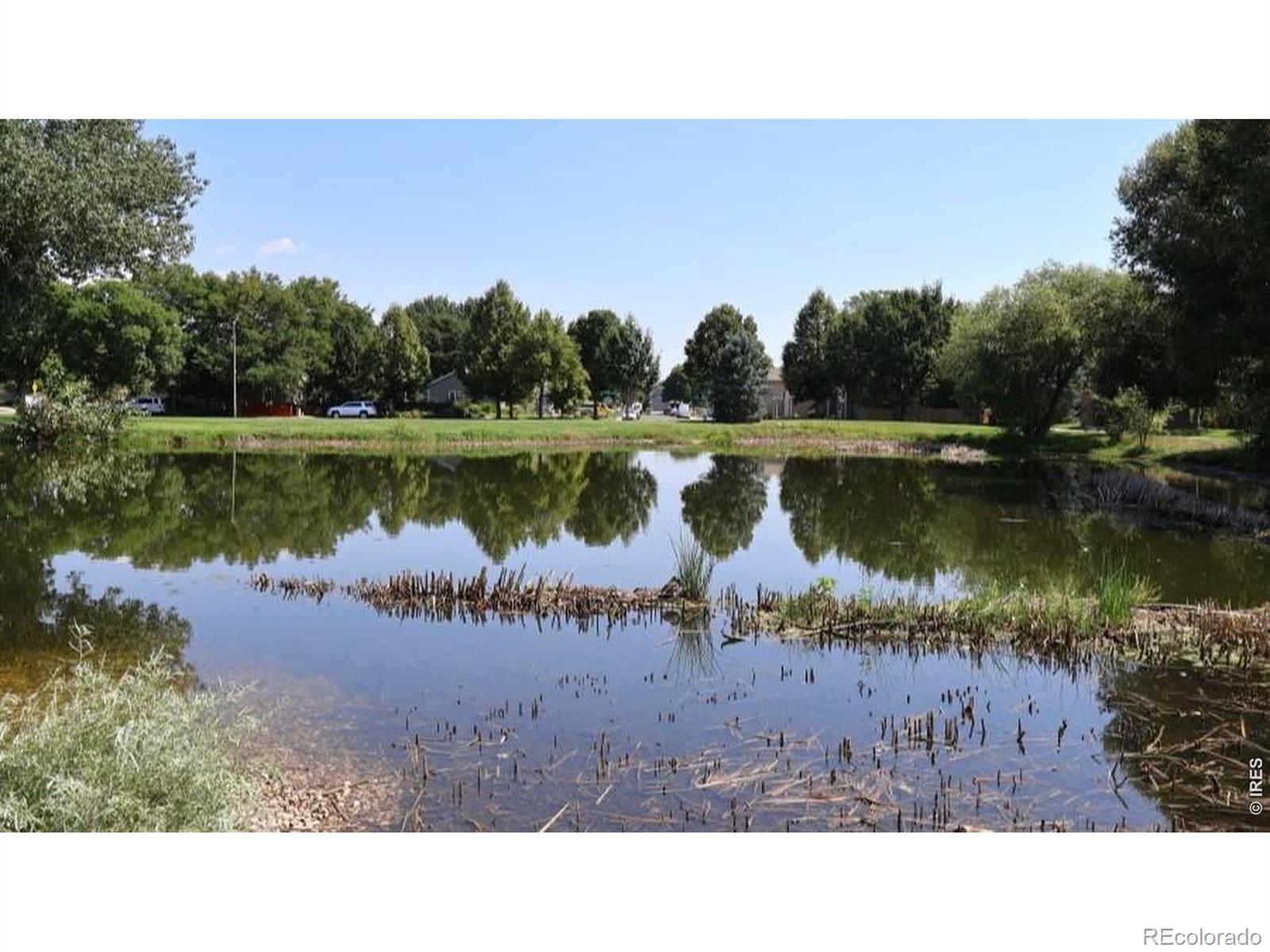 MLS Image #30 for 4056  kingsley court,fort collins, Colorado