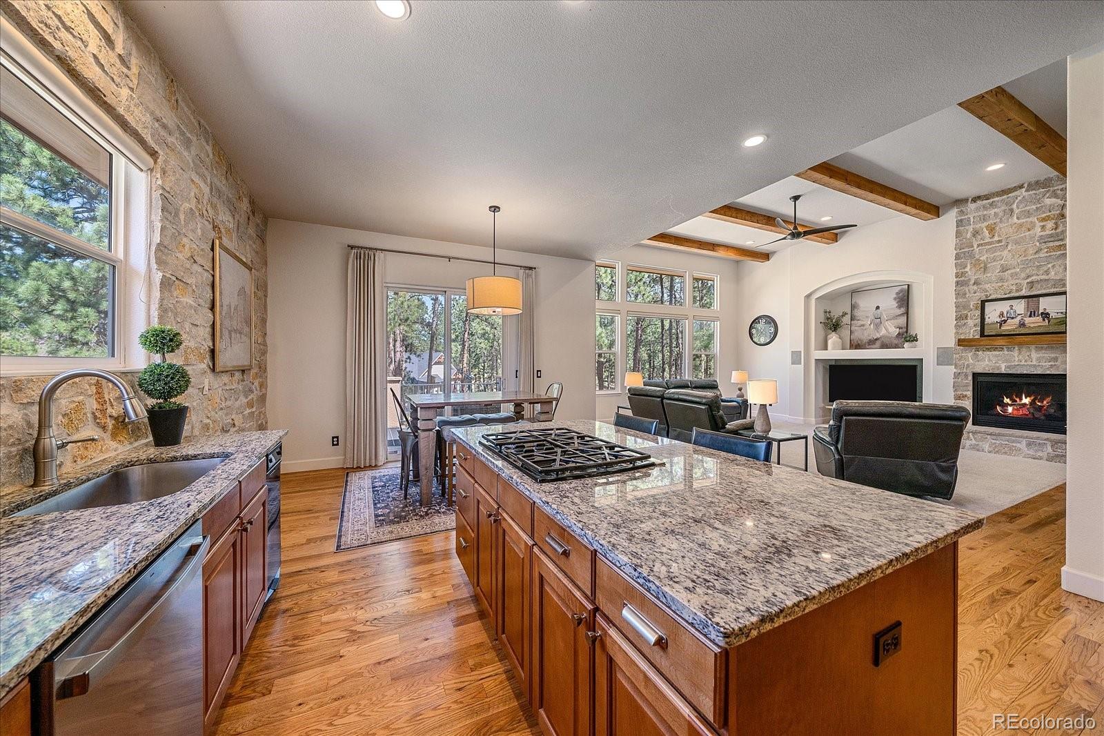 MLS Image #17 for 7418  cameron drive,larkspur, Colorado