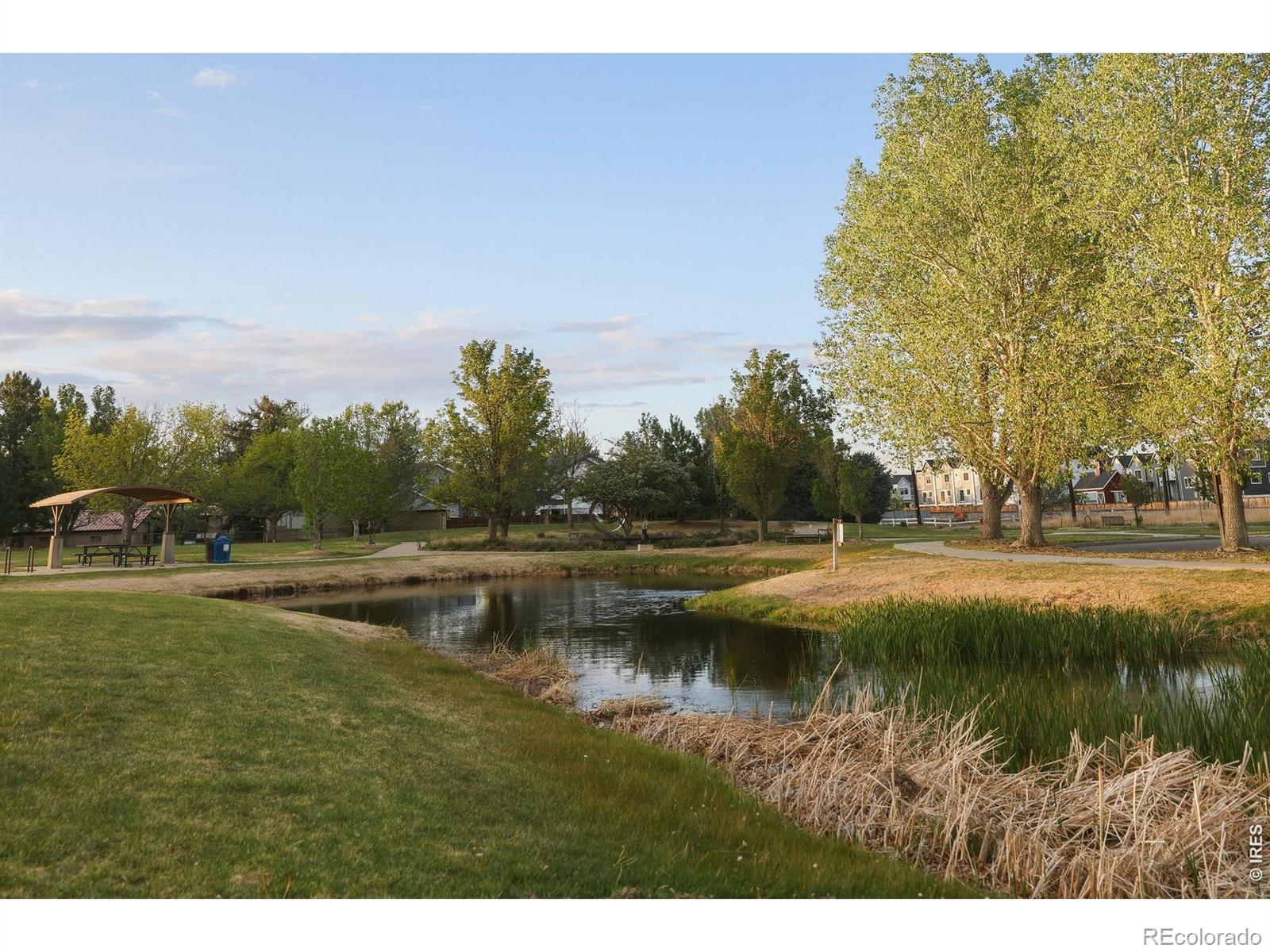 MLS Image #35 for 556  grant avenue,louisville, Colorado