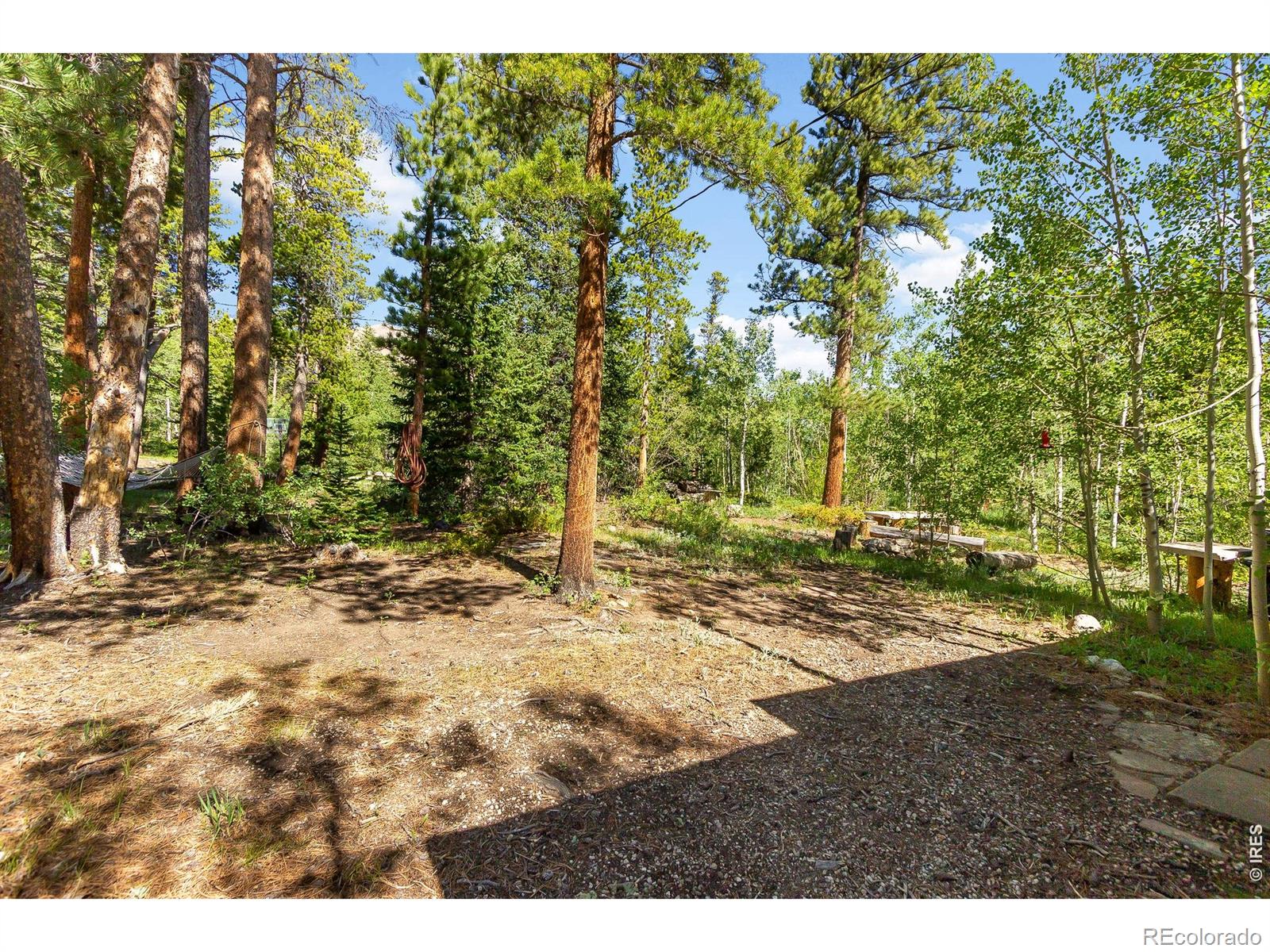 MLS Image #28 for 11614  peak to peak highway,allenspark, Colorado