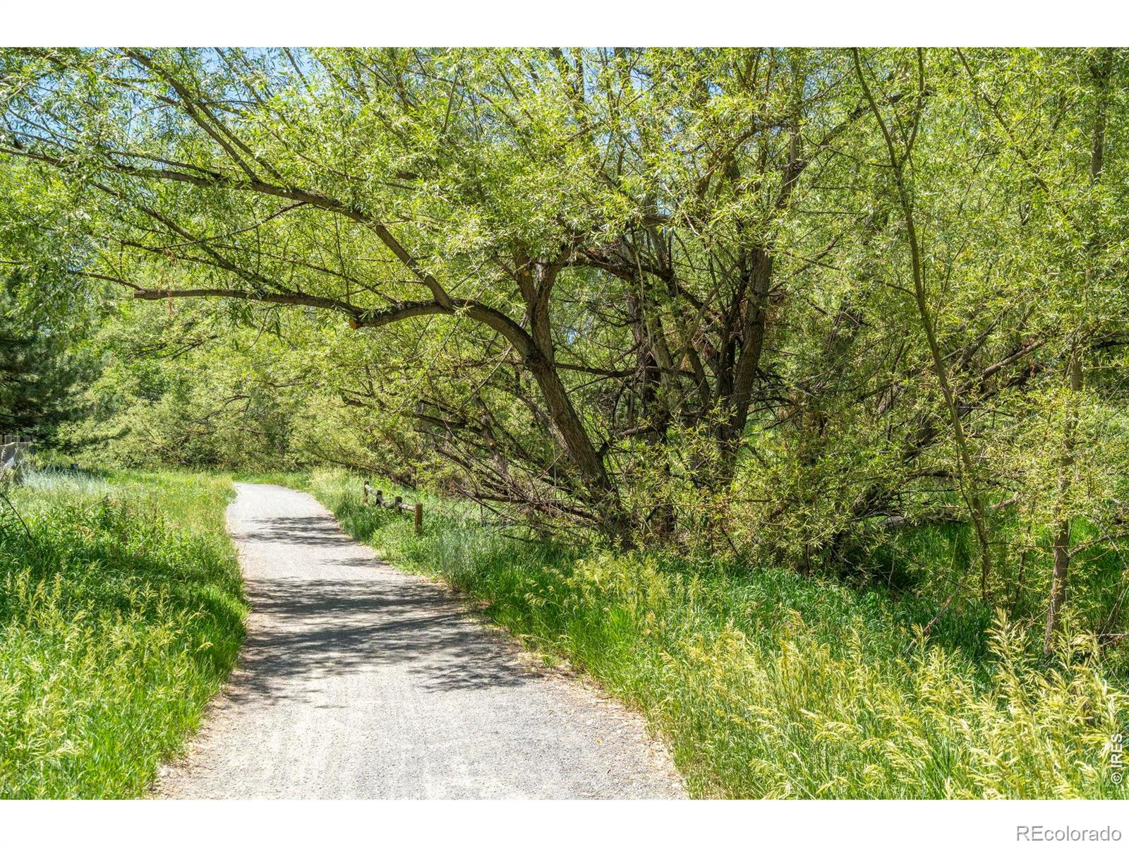 MLS Image #40 for 8022  countryside park,niwot, Colorado