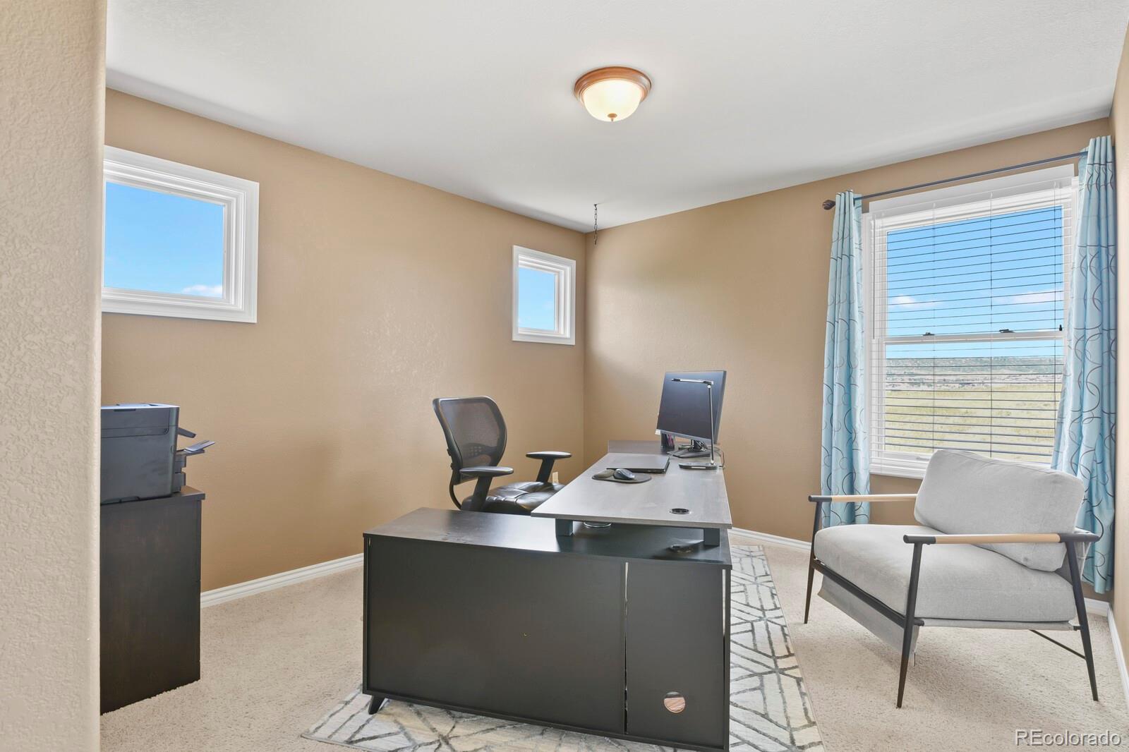MLS Image #22 for 4020  brushwood way,castle rock, Colorado