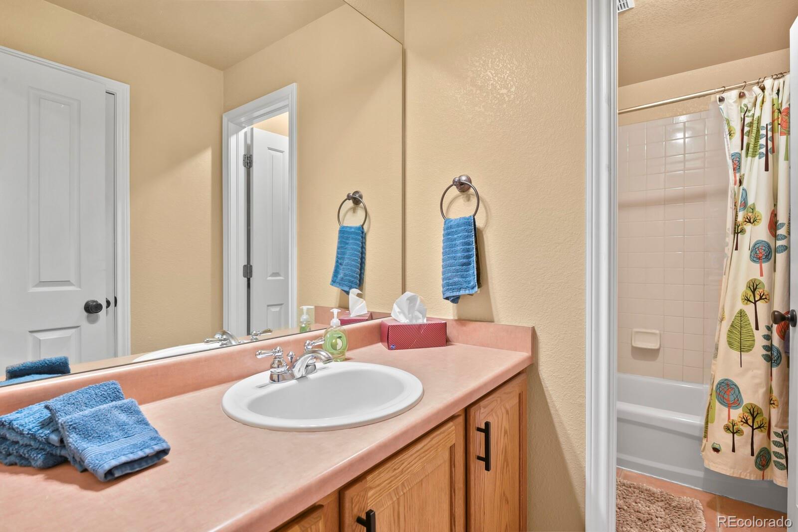 MLS Image #29 for 4020  brushwood way,castle rock, Colorado