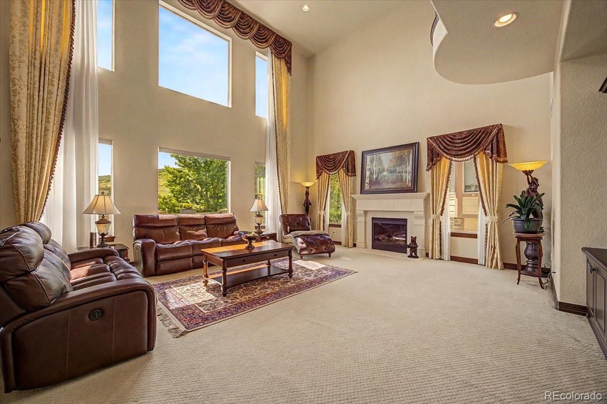 MLS Image #10 for 10492  rivington court,lone tree, Colorado