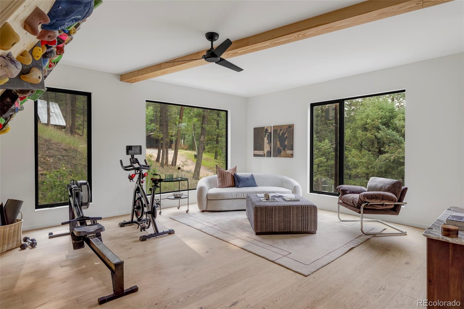 MLS Image #23 for 30166  glen eyrie ,evergreen, Colorado